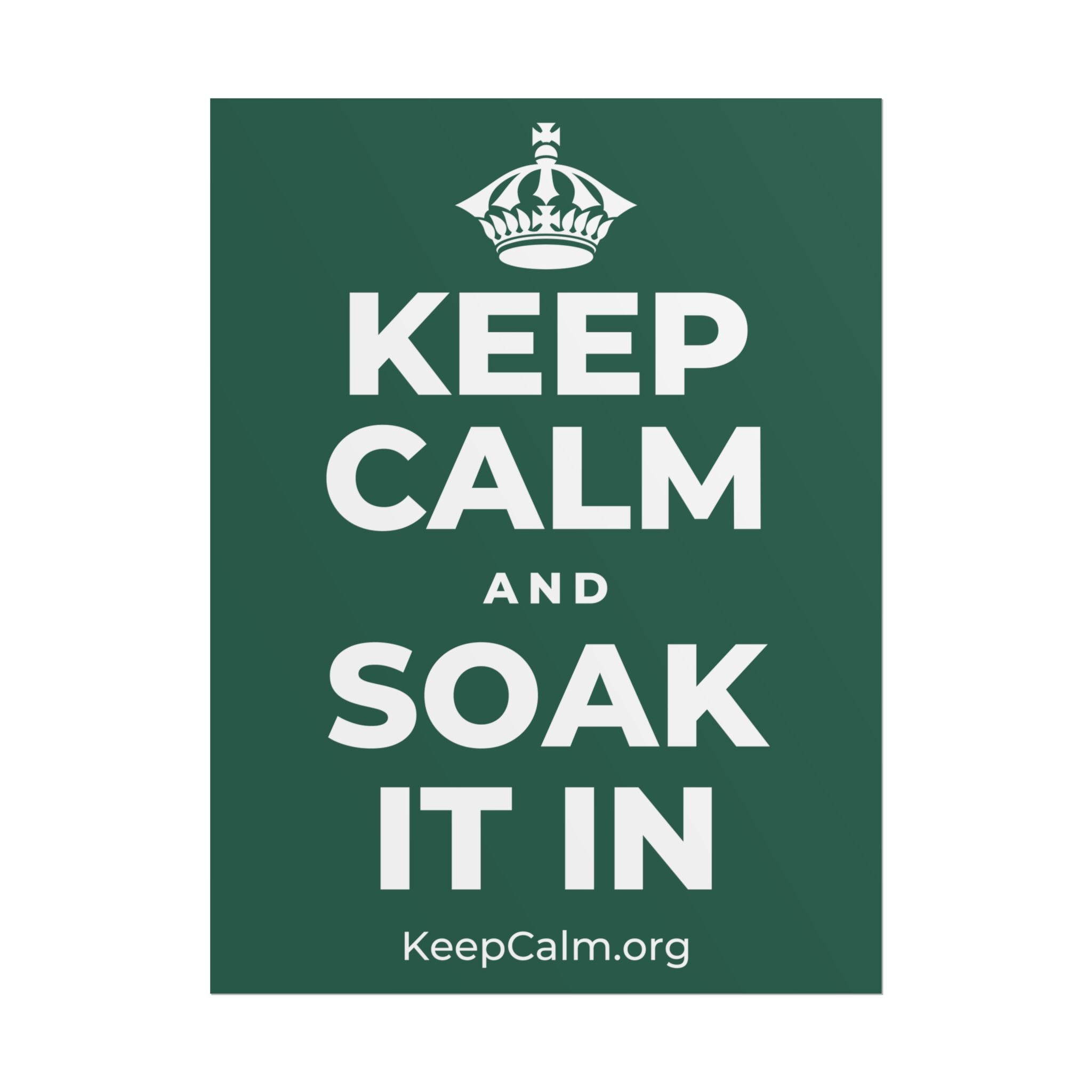 KEEP CALM AND SOAK IT IN Poster