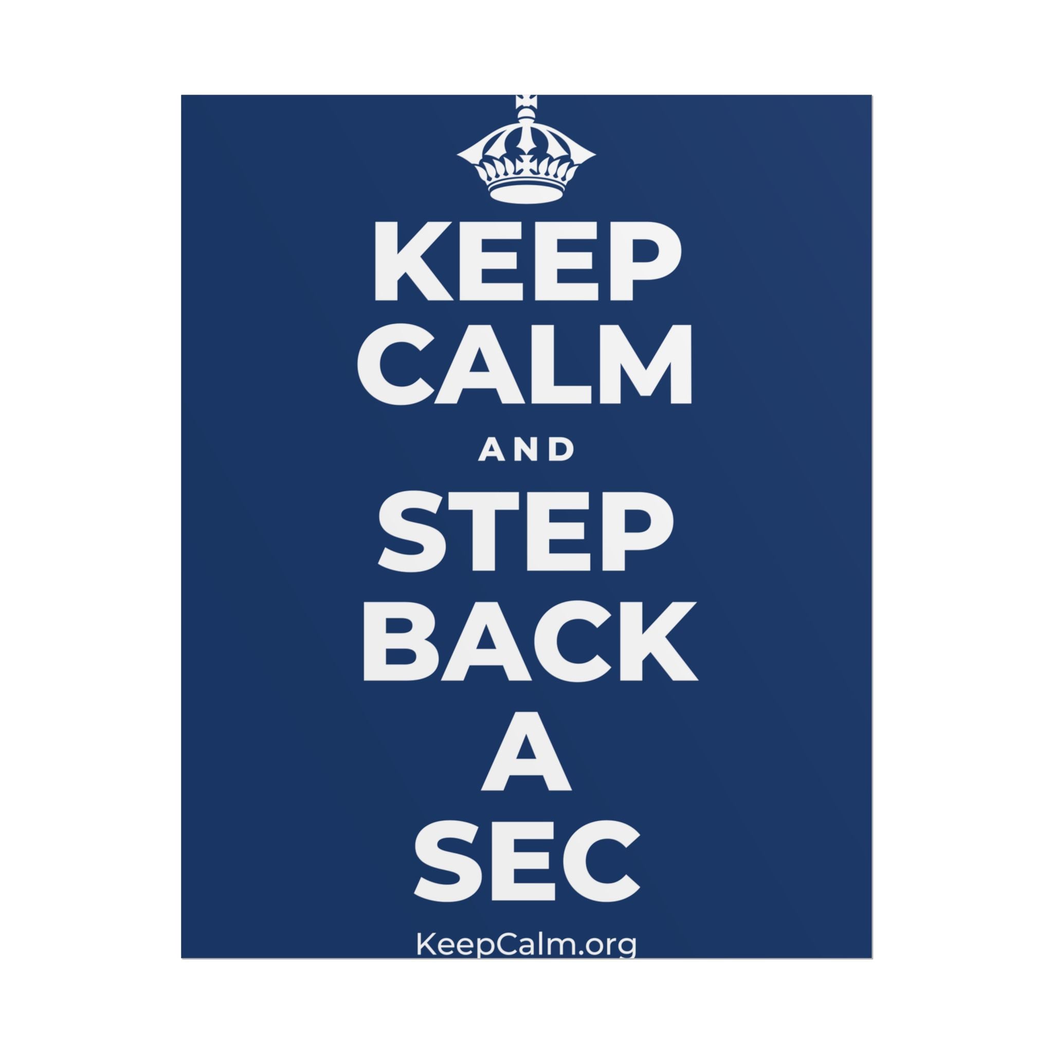 KEEP CALM AND STEP BACK A SEC Poster