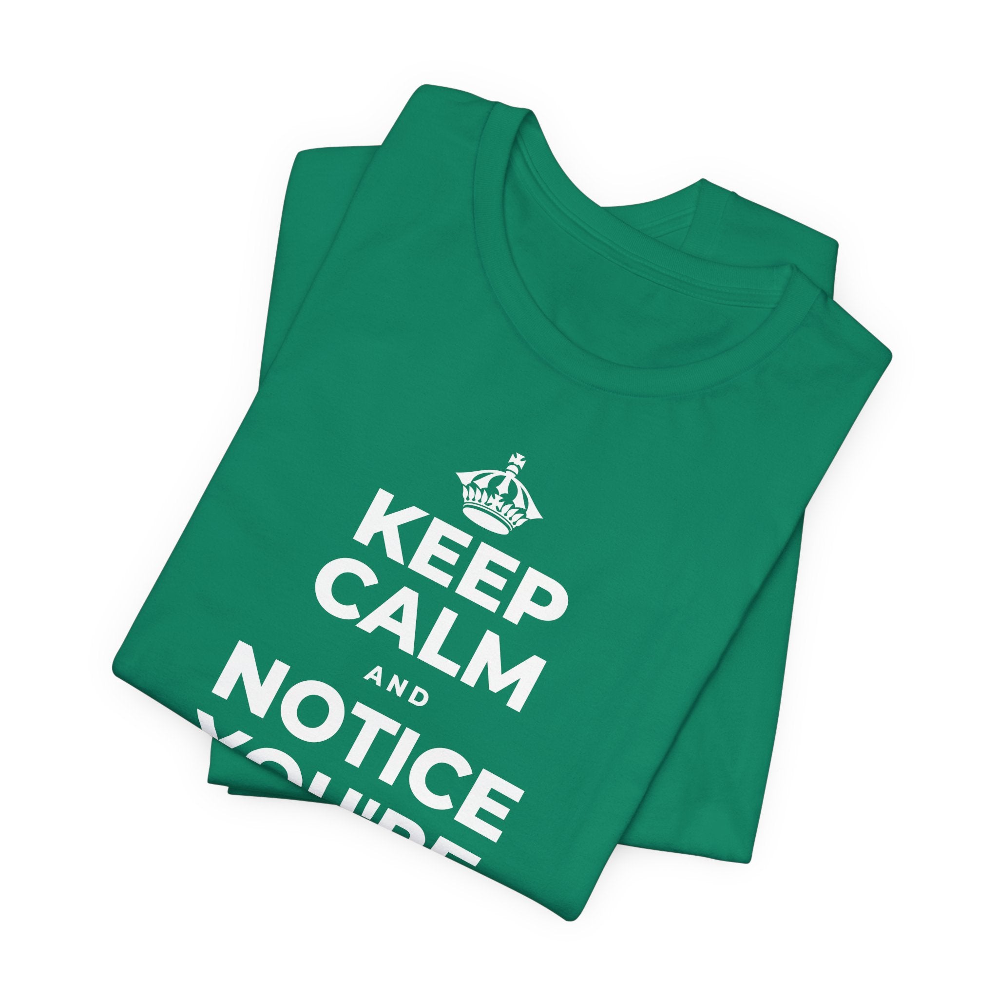 KEEP CALM AND NOTICE YOU'RE SAFE RIGHT NOW T-Shirt (White–Asphalt)