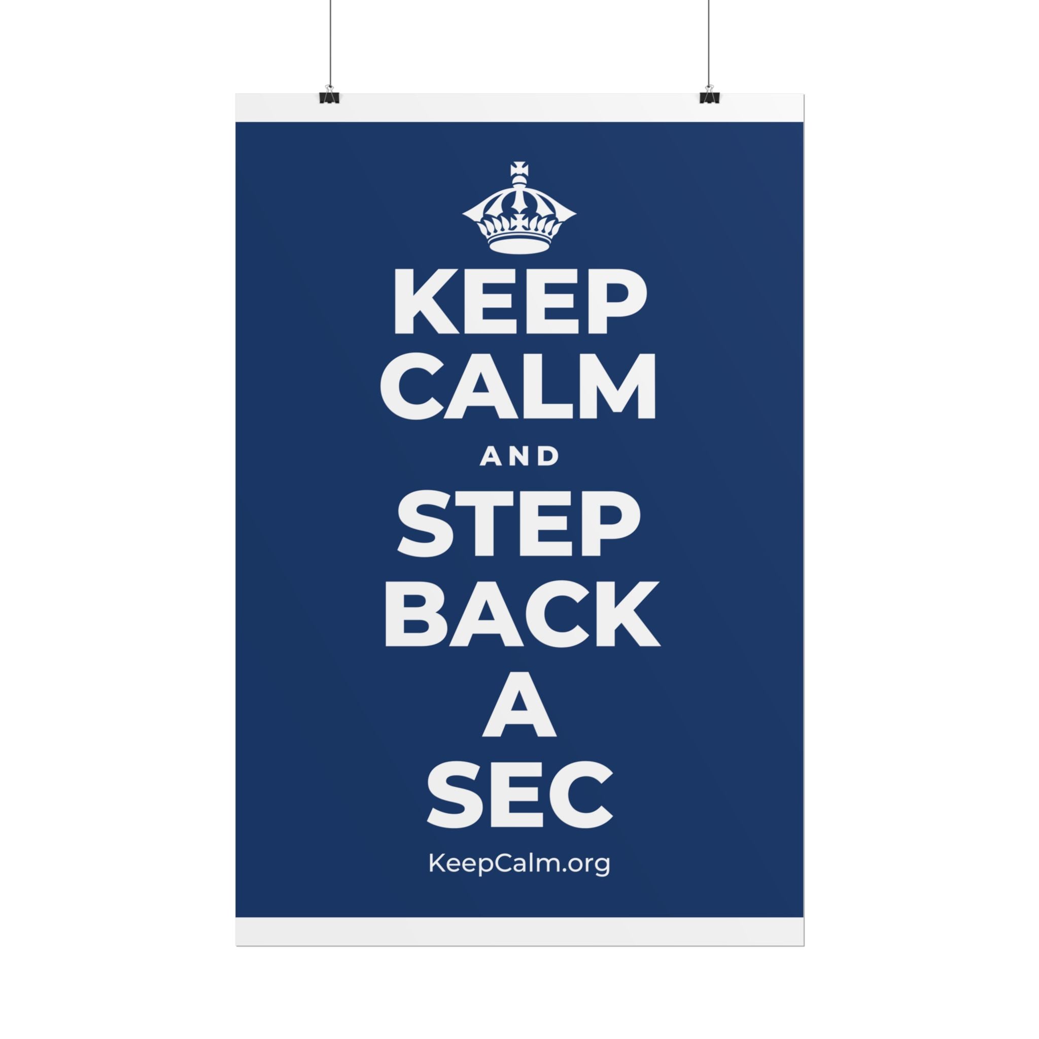 KEEP CALM AND STEP BACK A SEC Poster