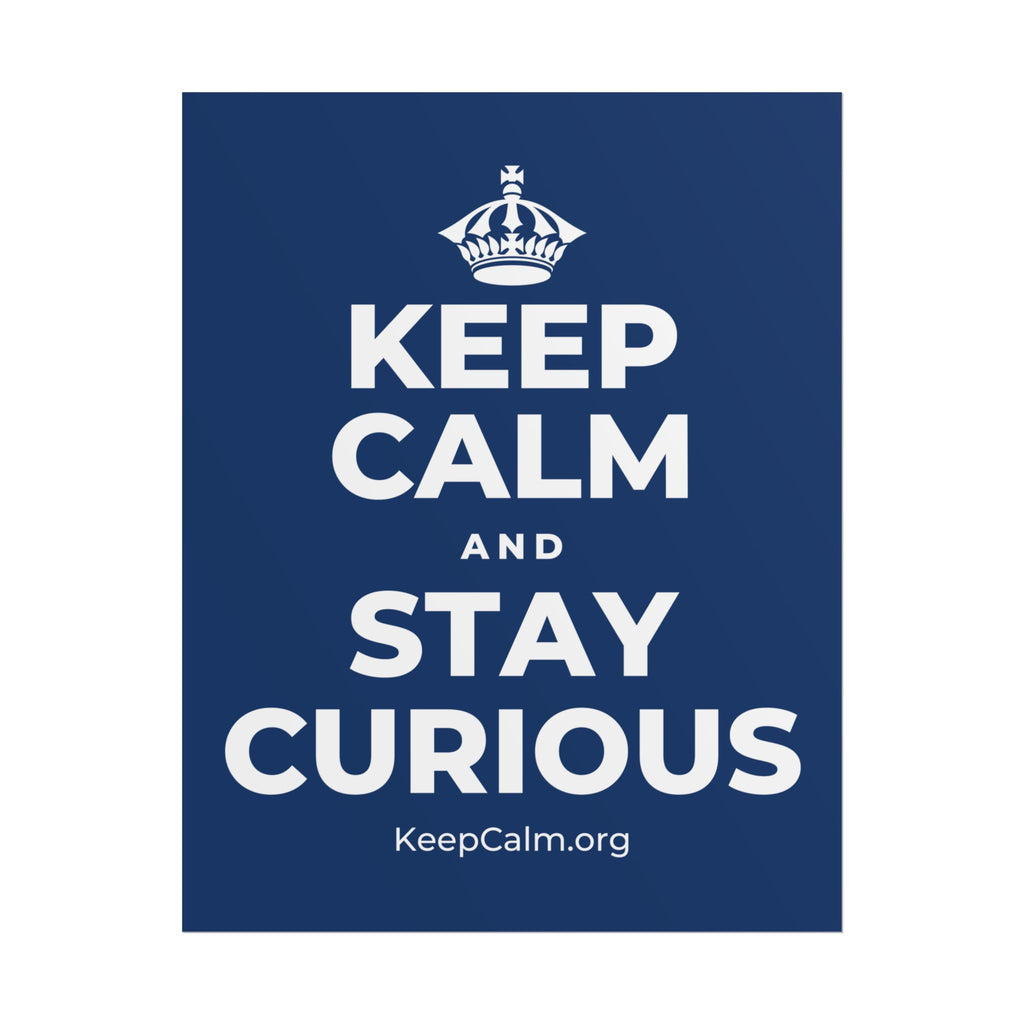 KEEP CALM AND STAY CURIOUS Poster