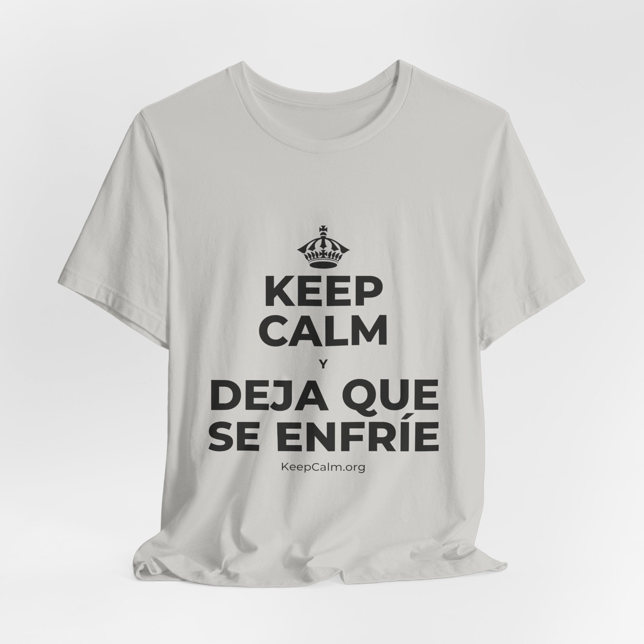 KEEP CALM Y DEJA QUE SE ENFRÍE T-Shirt (Baby Blue–Silver)