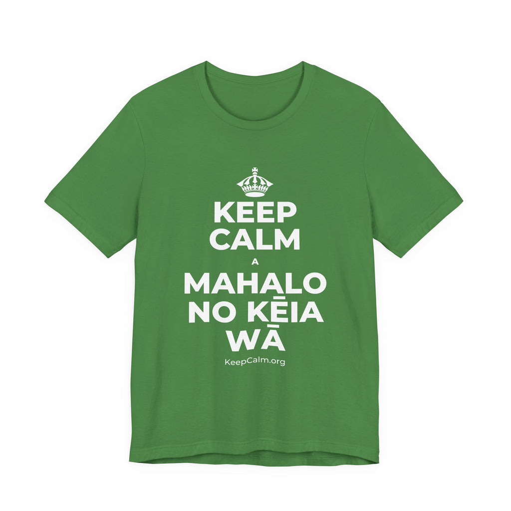 KEEP CALM A MAHALO NO KĒIA WĀ T-Shirt (Baby Blue–Silver)