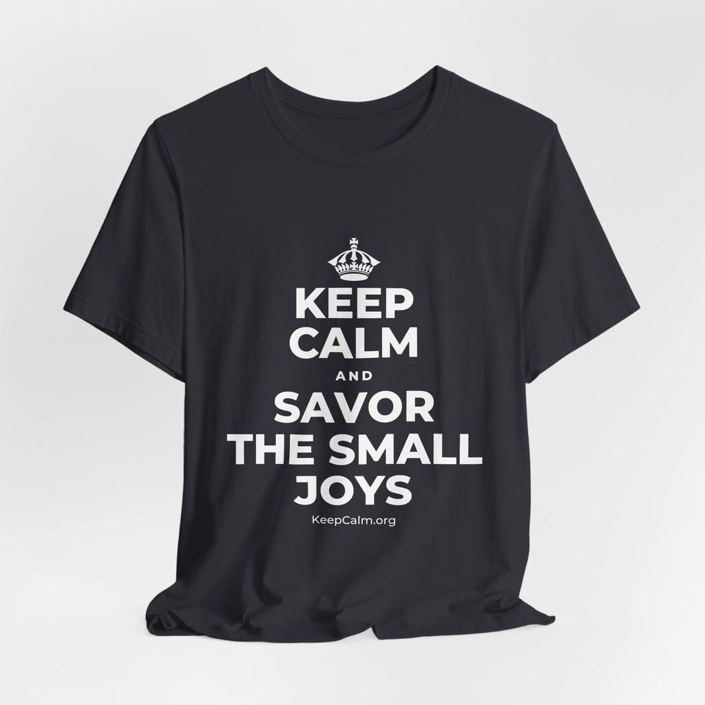 KEEP CALM AND SAVOR THE SMALL JOYS T-Shirt (Baby Blue–Silver)