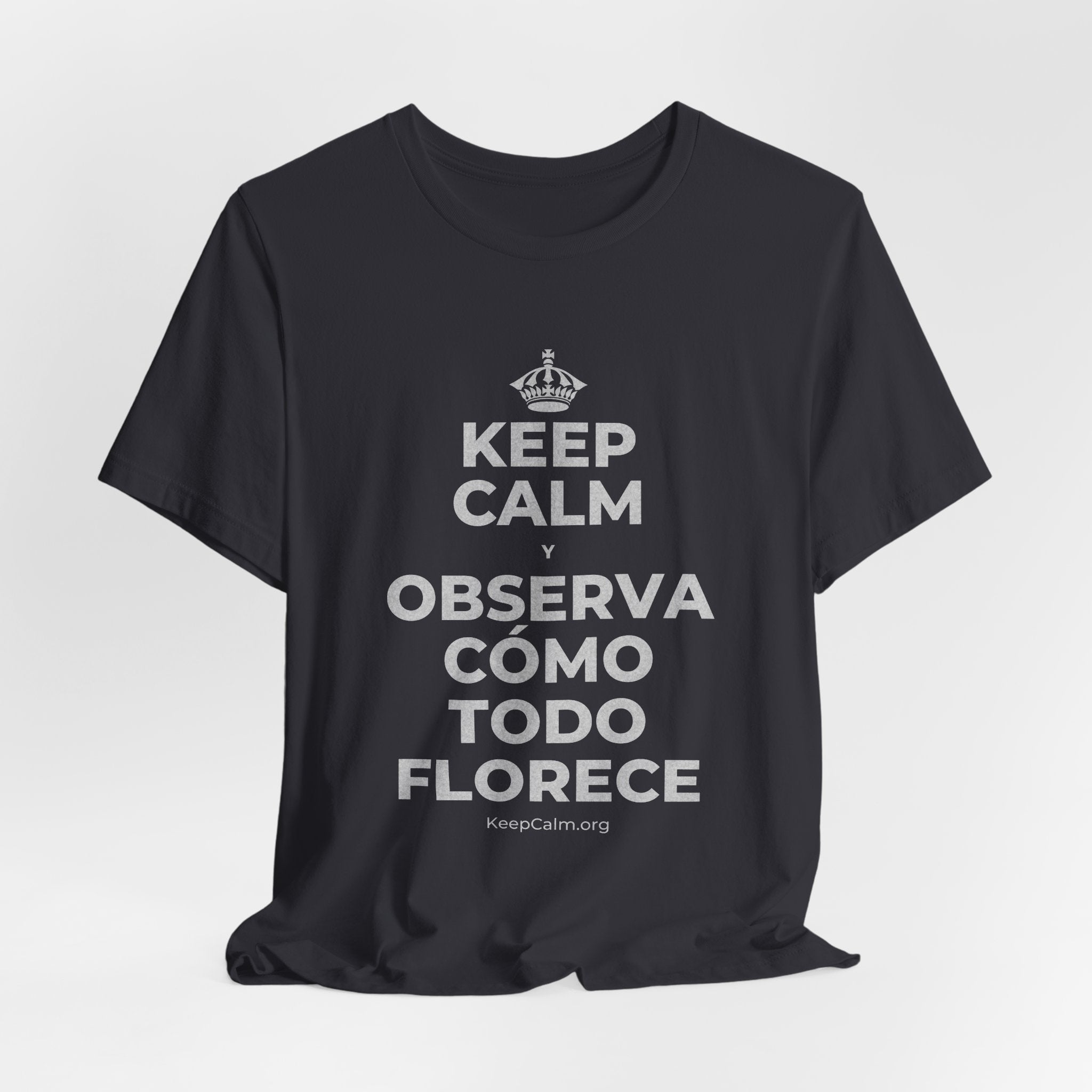 KEEP CALM Y OBSERVA CÓMO TODO FLORECE T-Shirt (Baby Blue–Silver)