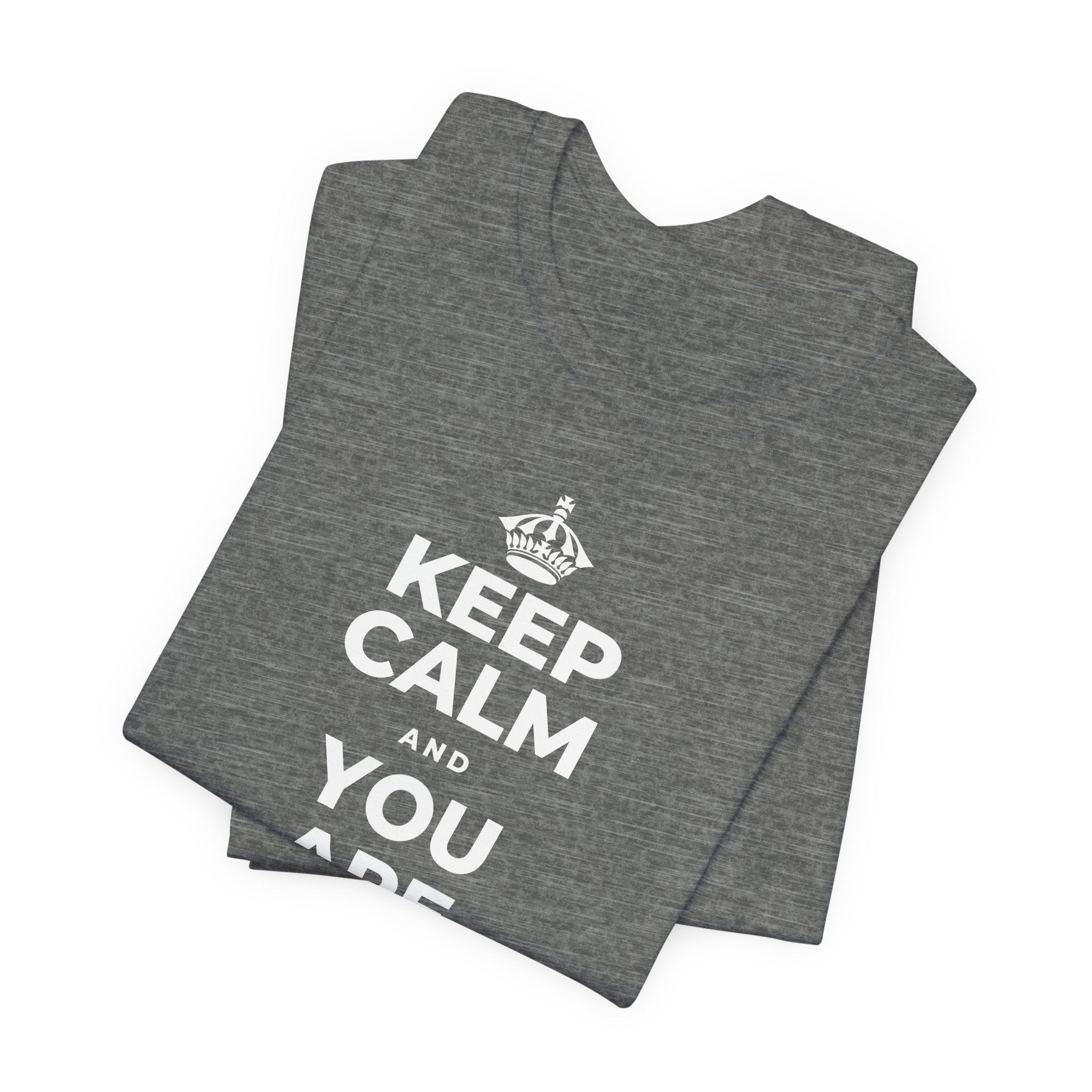 KEEP CALM AND YOU ARE DOING GREAT TODAY T-Shirt (Baby Blue–Silver)