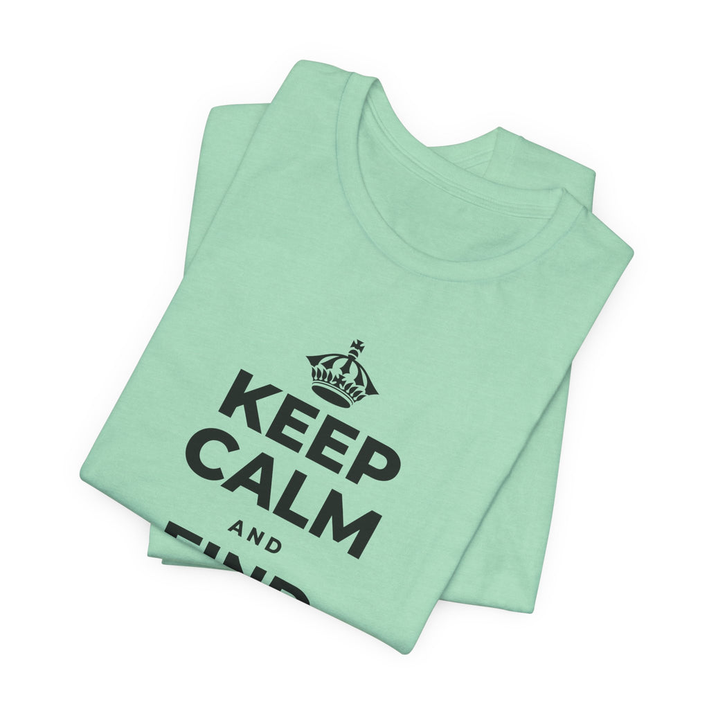 KEEP CALM AND FIND YOUR FREEDOM T-Shirt (Baby Blue–Silver)