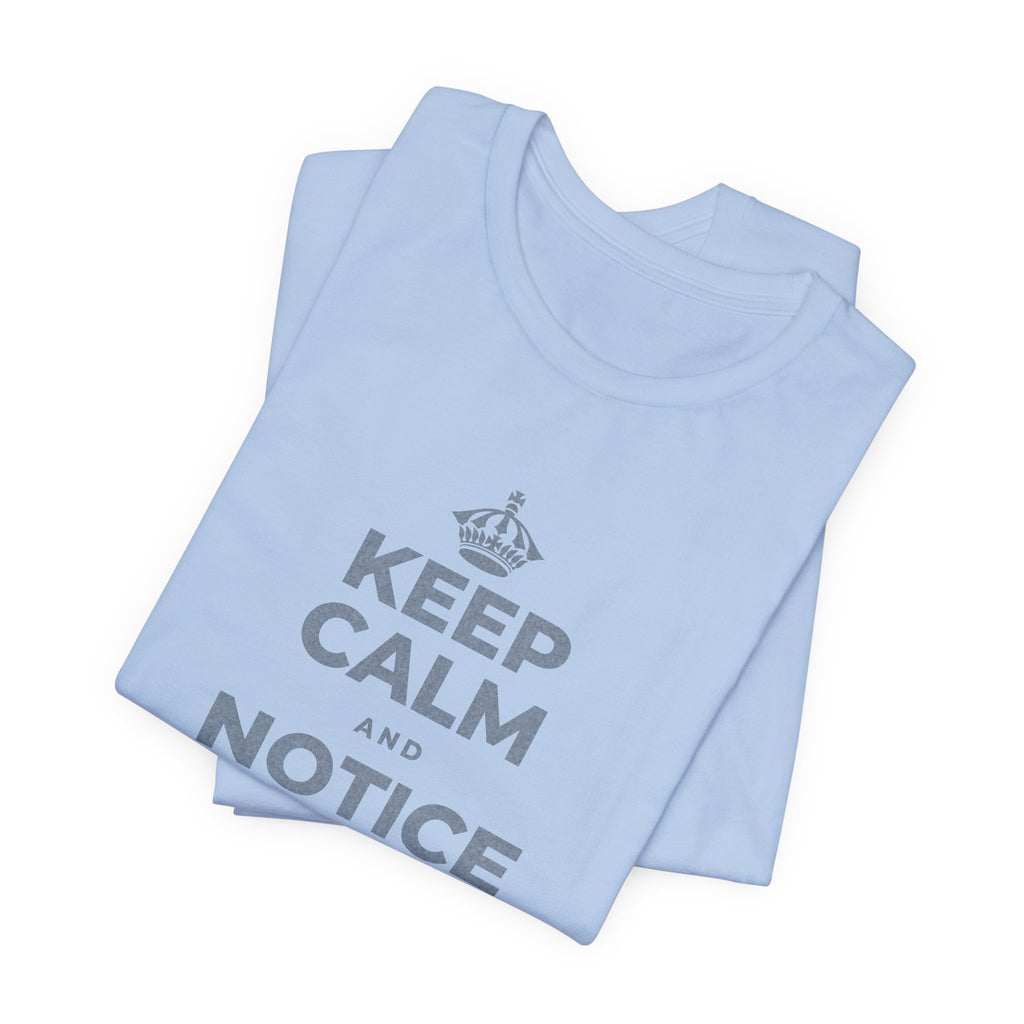 KEEP CALM AND NOTICE YOU'RE SAFE RIGHT NOW T-Shirt (Baby Blue–Silver)
