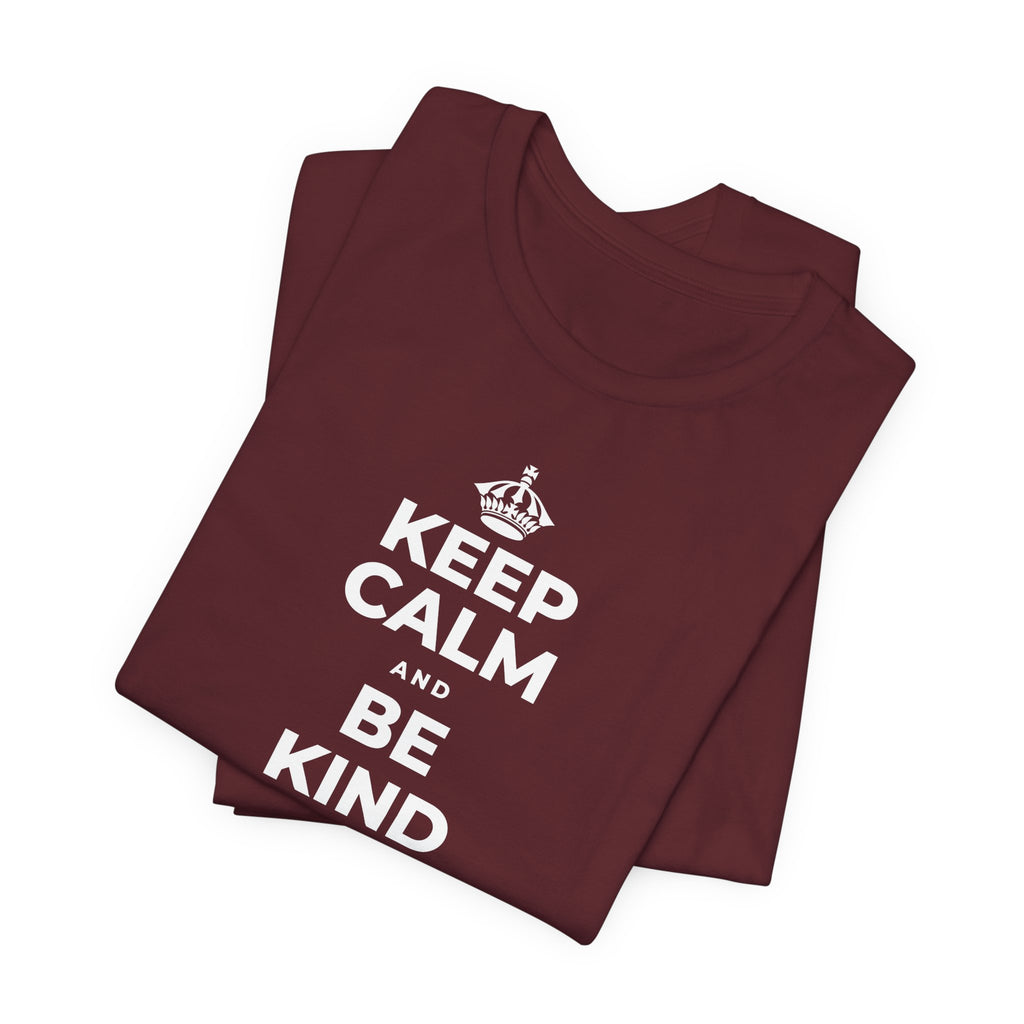 KEEP CALM AND BE KIND TO THE NEW KID T-Shirt (Baby Blue–Silver)