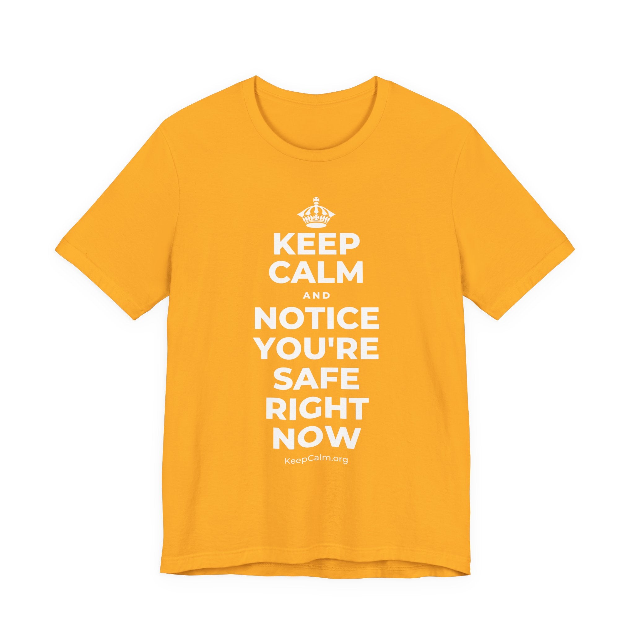 KEEP CALM AND NOTICE YOU'RE SAFE RIGHT NOW T-Shirt (Baby Blue–Silver)