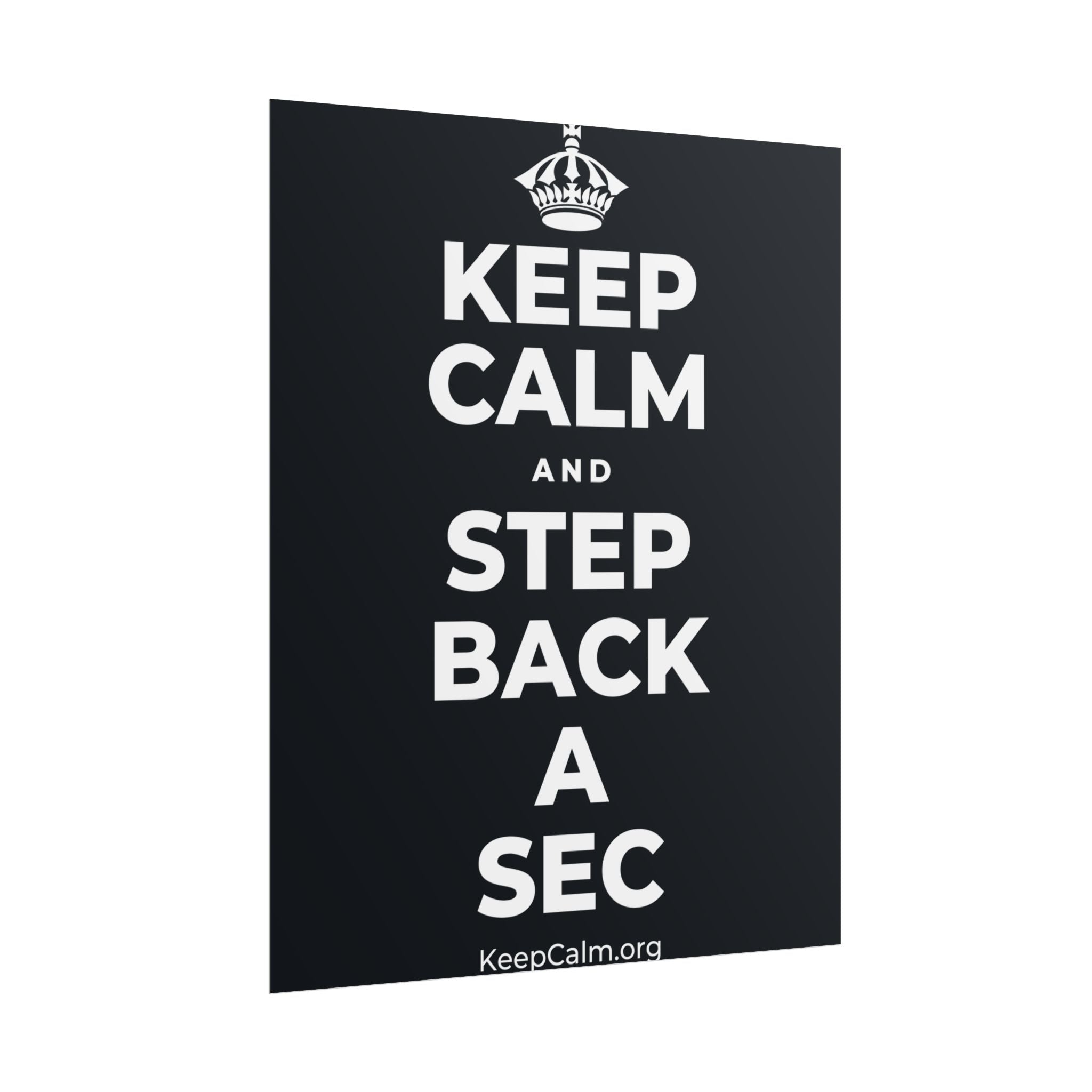 KEEP CALM AND STEP BACK A SEC Poster (Dark)