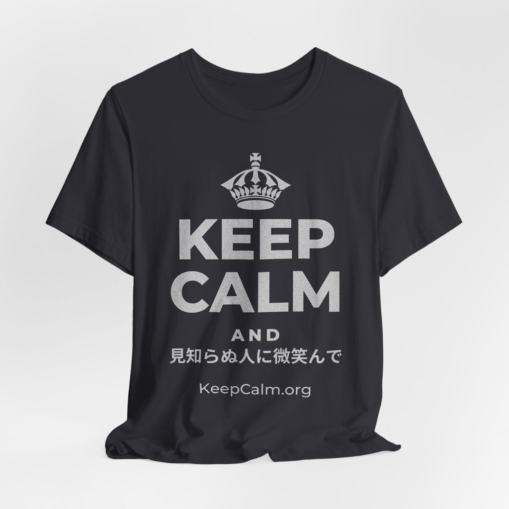 KEEP CALM AND 見知らぬ人に微笑んで T-Shirt (Baby Blue–Silver)
