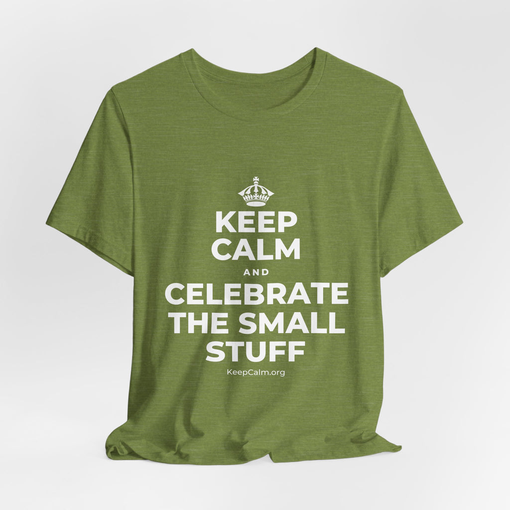 KEEP CALM AND CELEBRATE THE SMALL STUFF T-Shirt (Baby Blue–Silver)