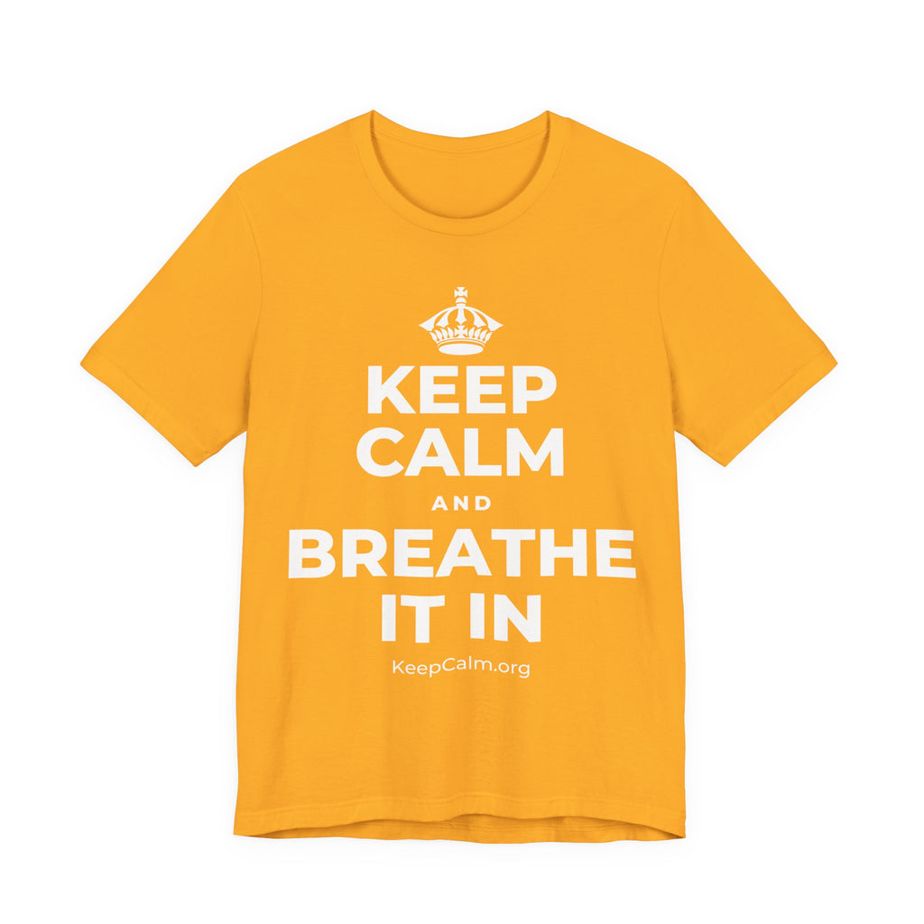KEEP CALM AND BREATHE IT IN T-Shirt (Baby Blue–Silver)