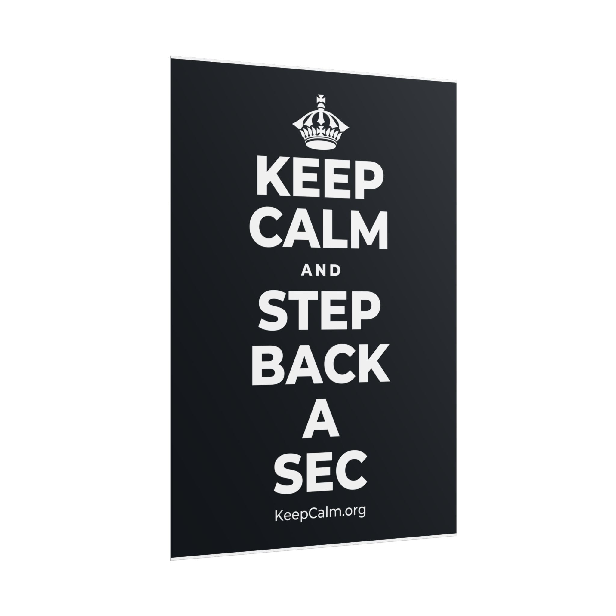 KEEP CALM AND STEP BACK A SEC Poster (Dark)