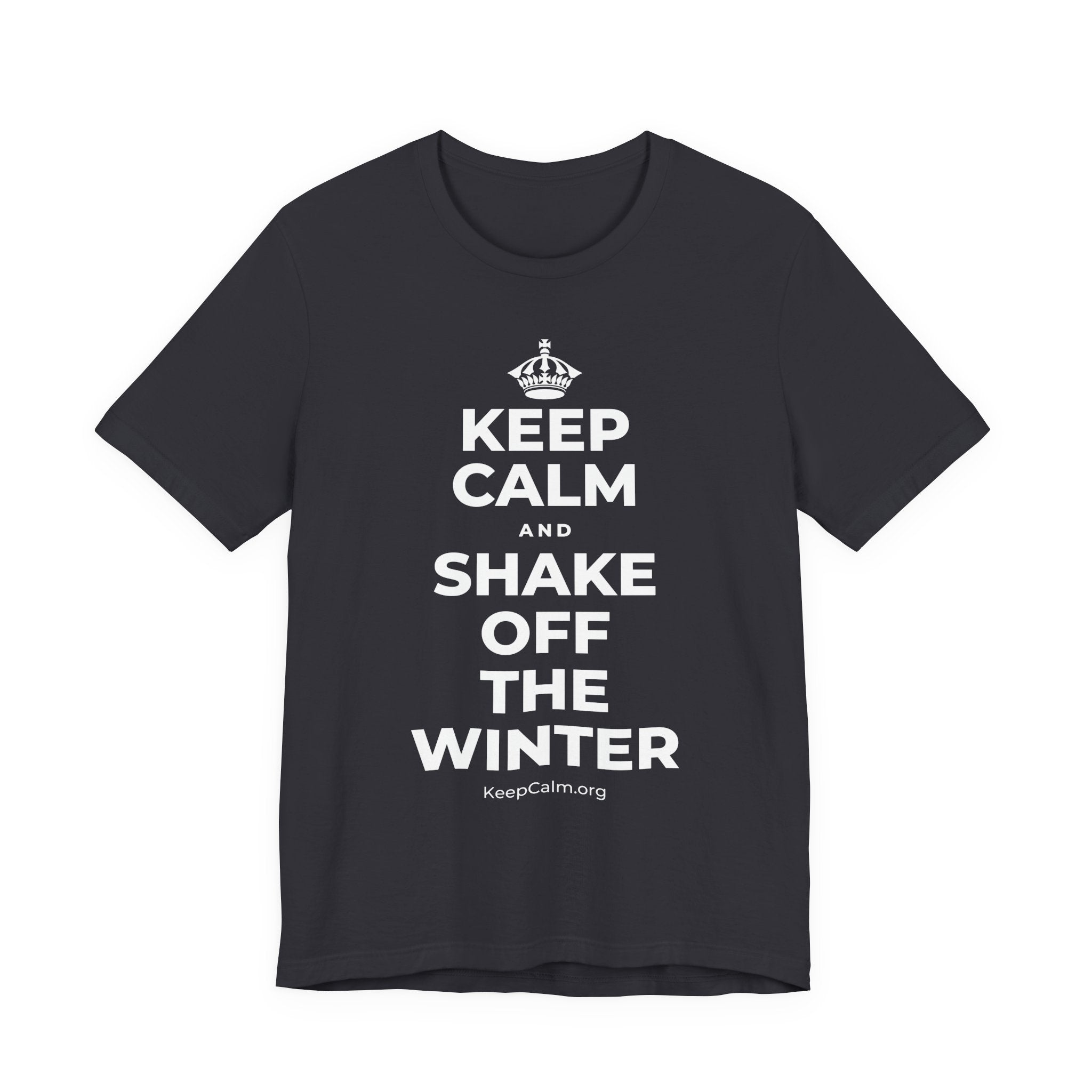 KEEP CALM AND SHAKE OFF THE WINTER T-Shirt (Baby Blue–Silver)