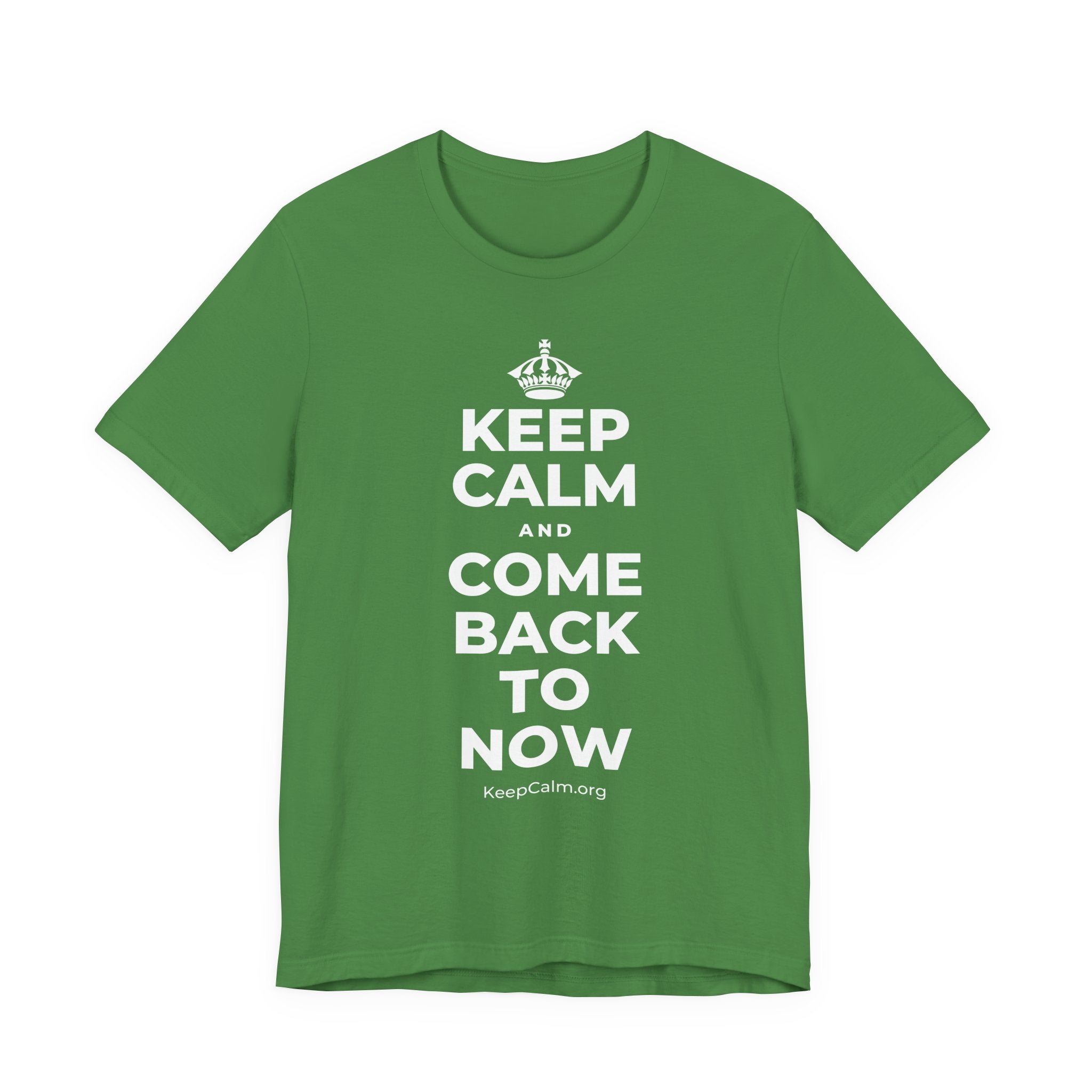 KEEP CALM AND COME BACK TO NOW T-Shirt (Baby Blue–Silver)