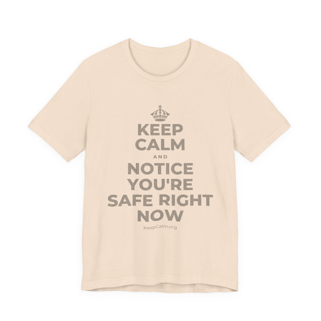 KEEP CALM AND NOTICE YOU'RE SAFE RIGHT NOW T-Shirt (Soft Cream–Heather Mauve)