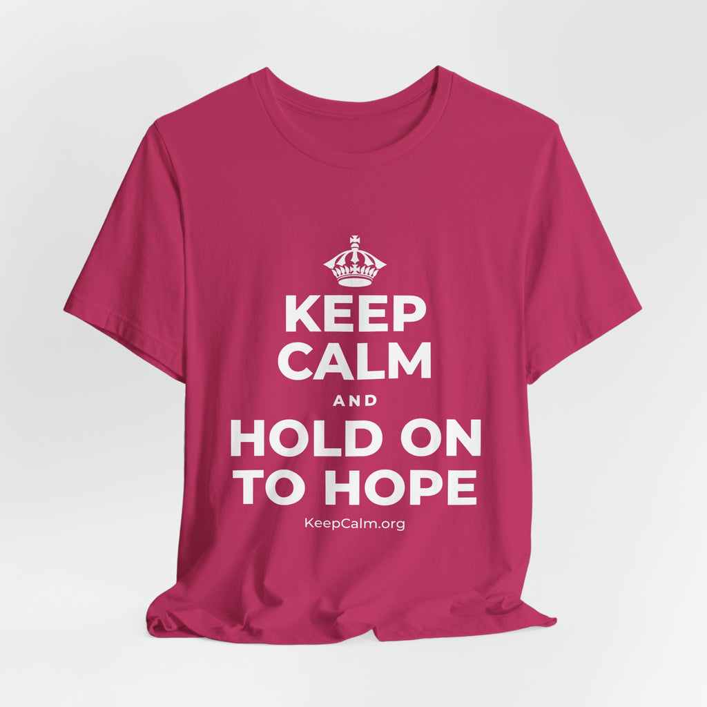 KEEP CALM AND HOLD ON TO HOPE T-Shirt (Baby Blue–Silver)