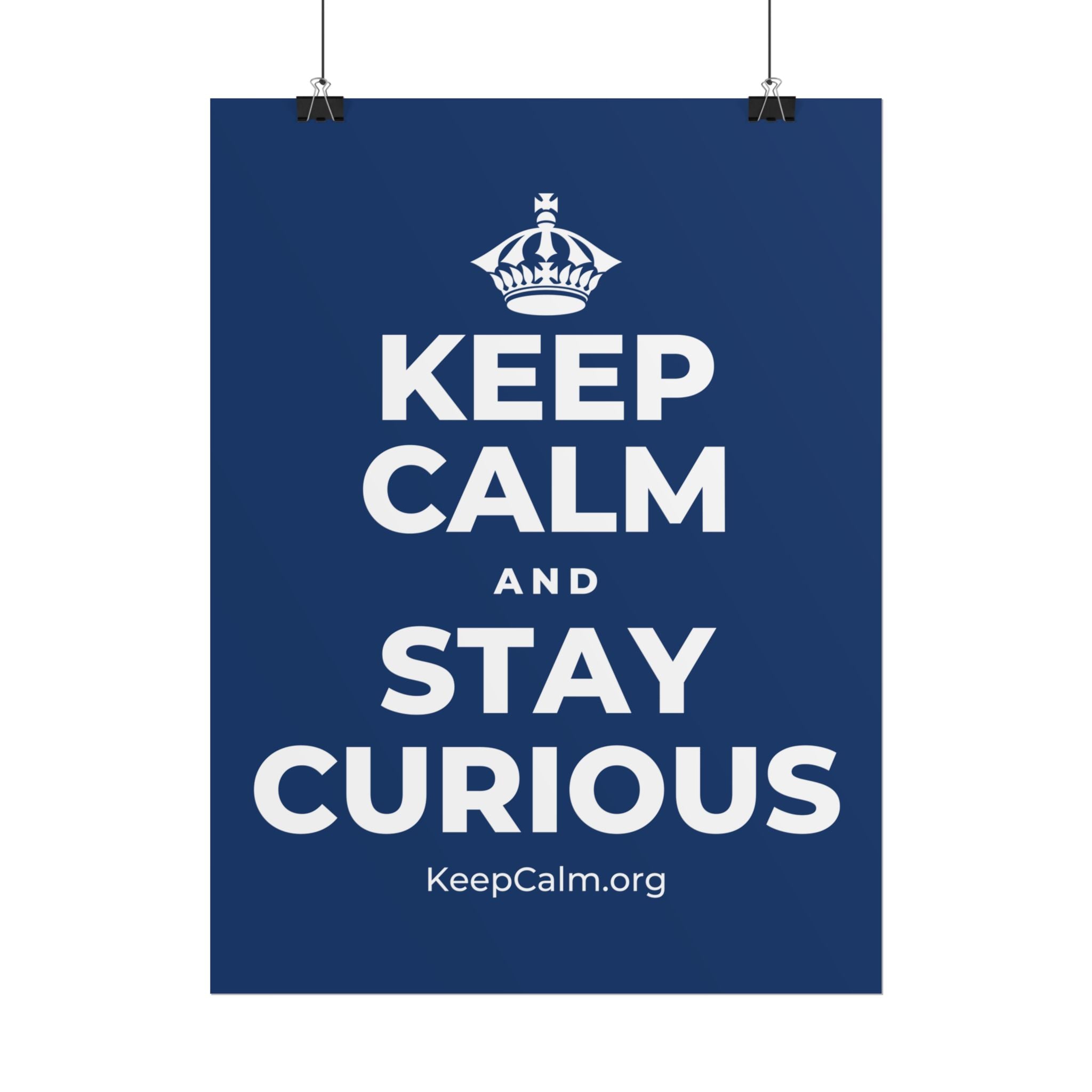 KEEP CALM AND STAY CURIOUS Poster