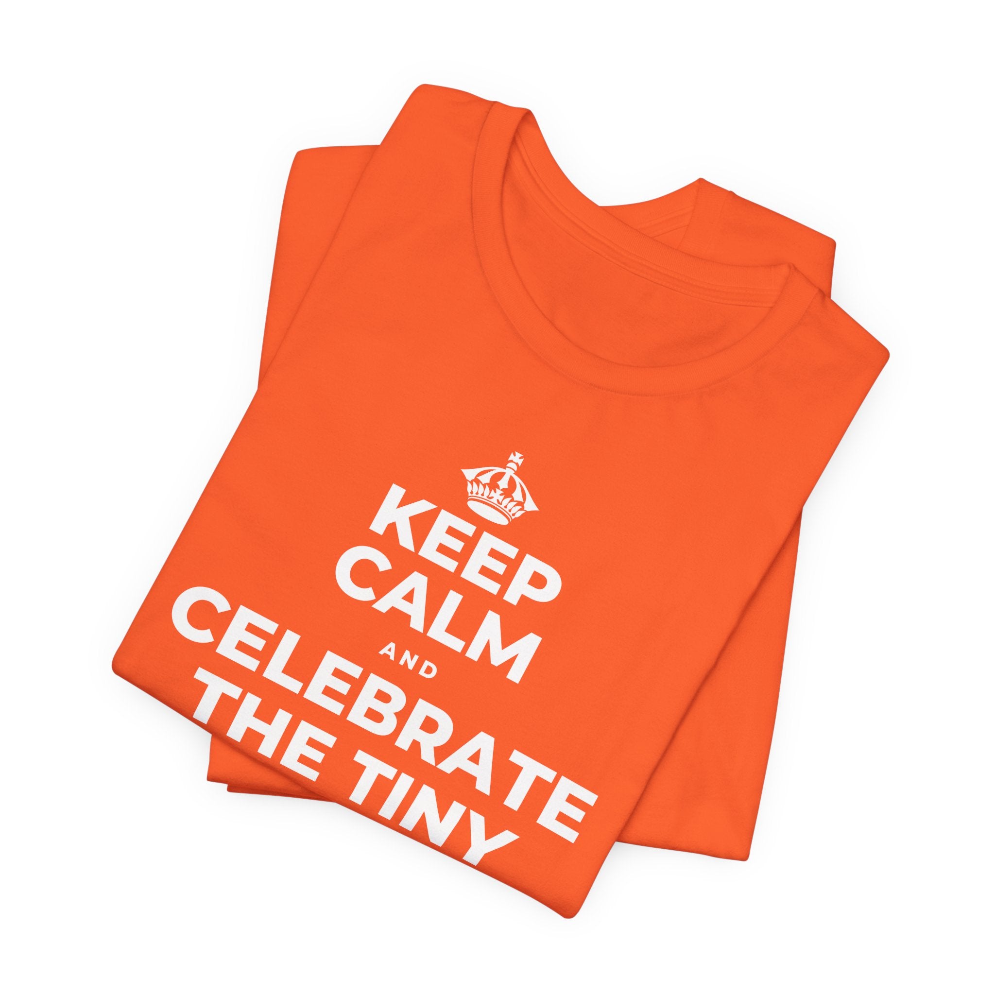 KEEP CALM AND CELEBRATE THE TINY VICTORIES EVERY SINGLE DAY T-Shirt (Baby Blue–Silver)