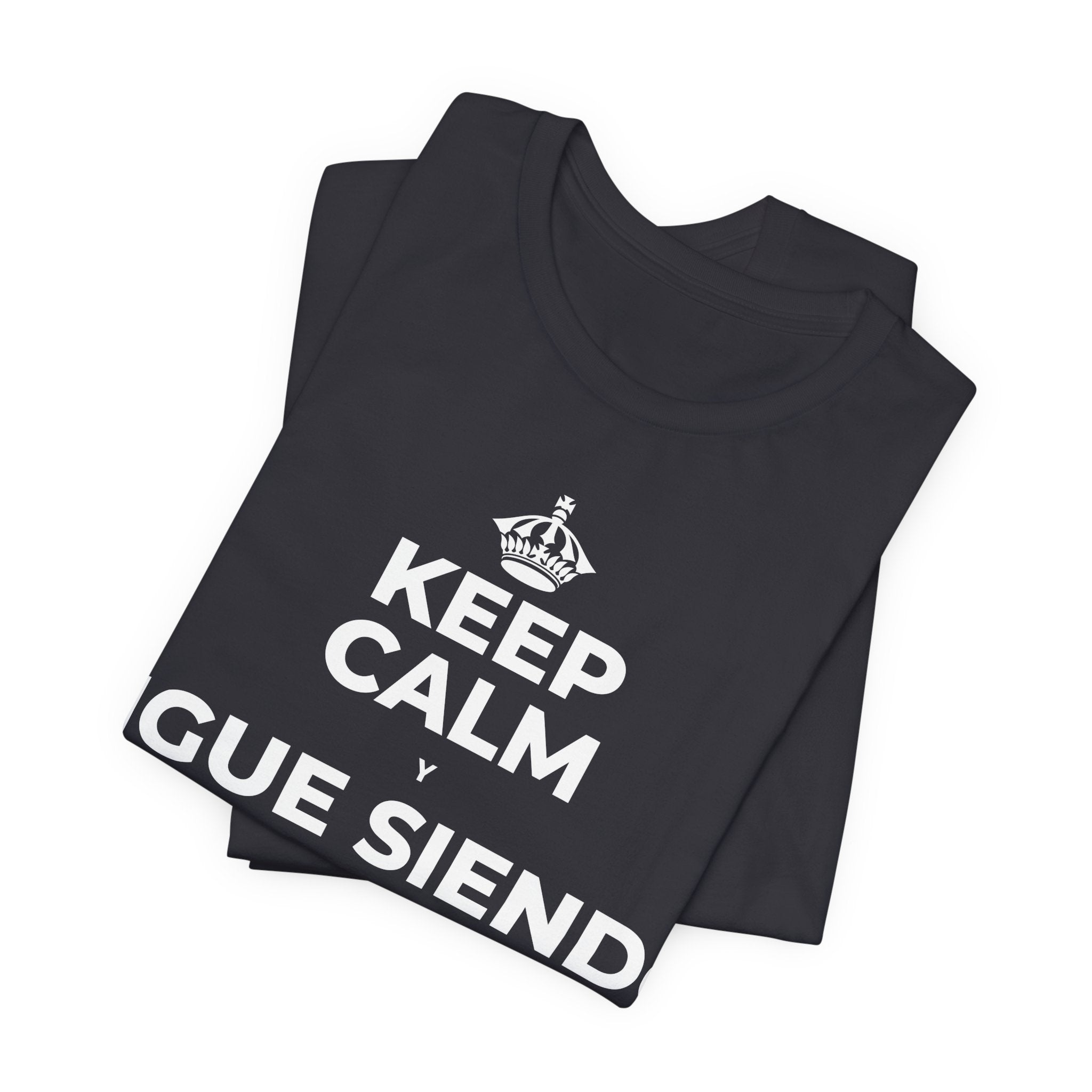 KEEP CALM Y SIGUE SIENDO PRINCIPIANTE T-Shirt (Baby Blue–Silver)