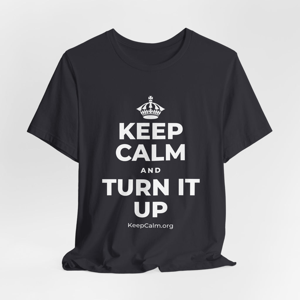KEEP CALM AND TURN IT UP T-Shirt (Baby Blue–Silver)