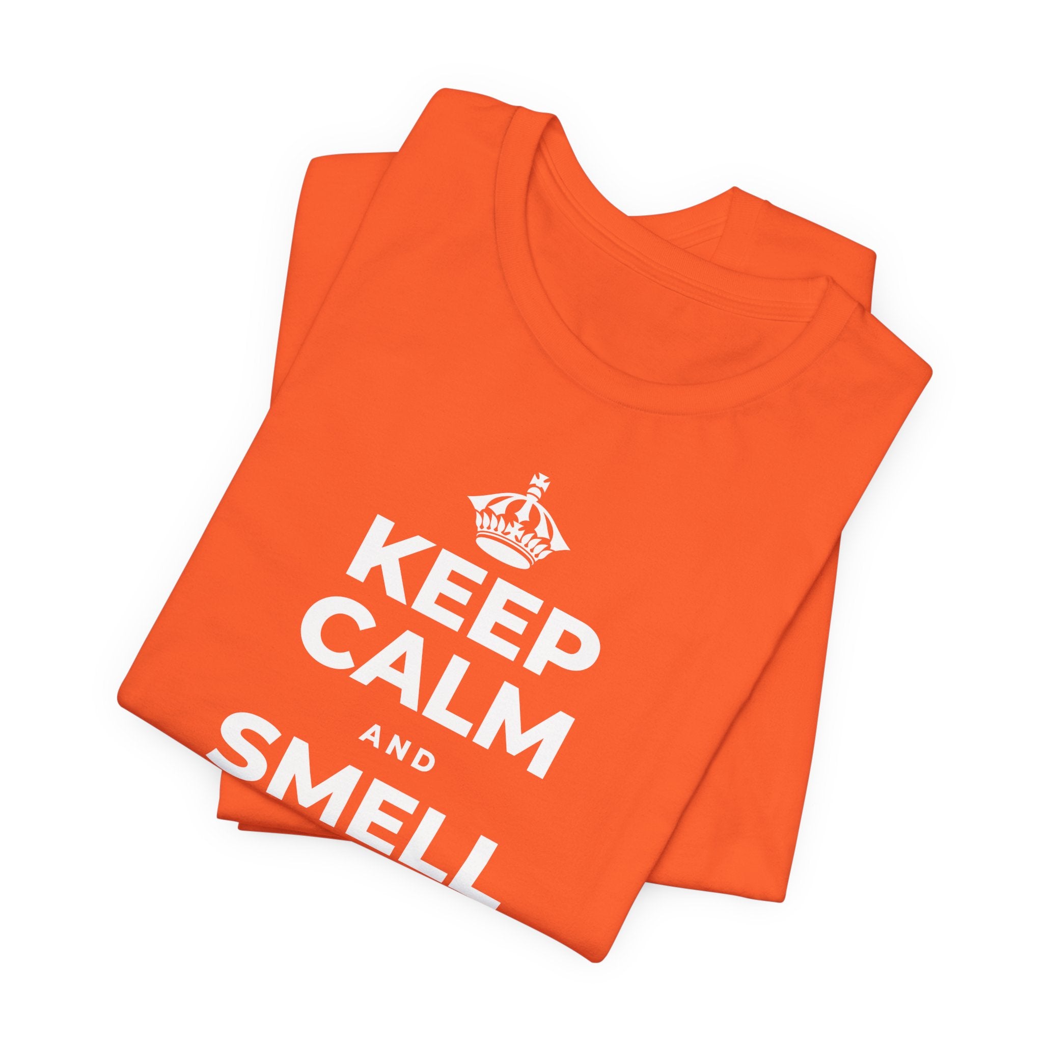 KEEP CALM AND SMELL THE FRESH AIR T-Shirt (Baby Blue–Silver)