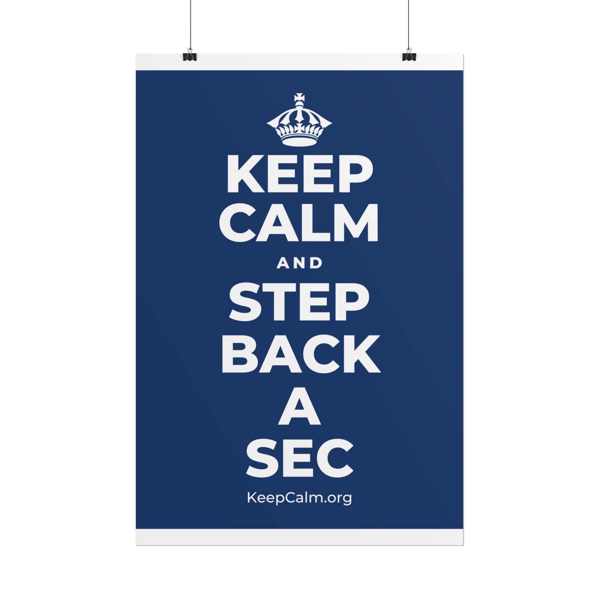 KEEP CALM AND STEP BACK A SEC Poster