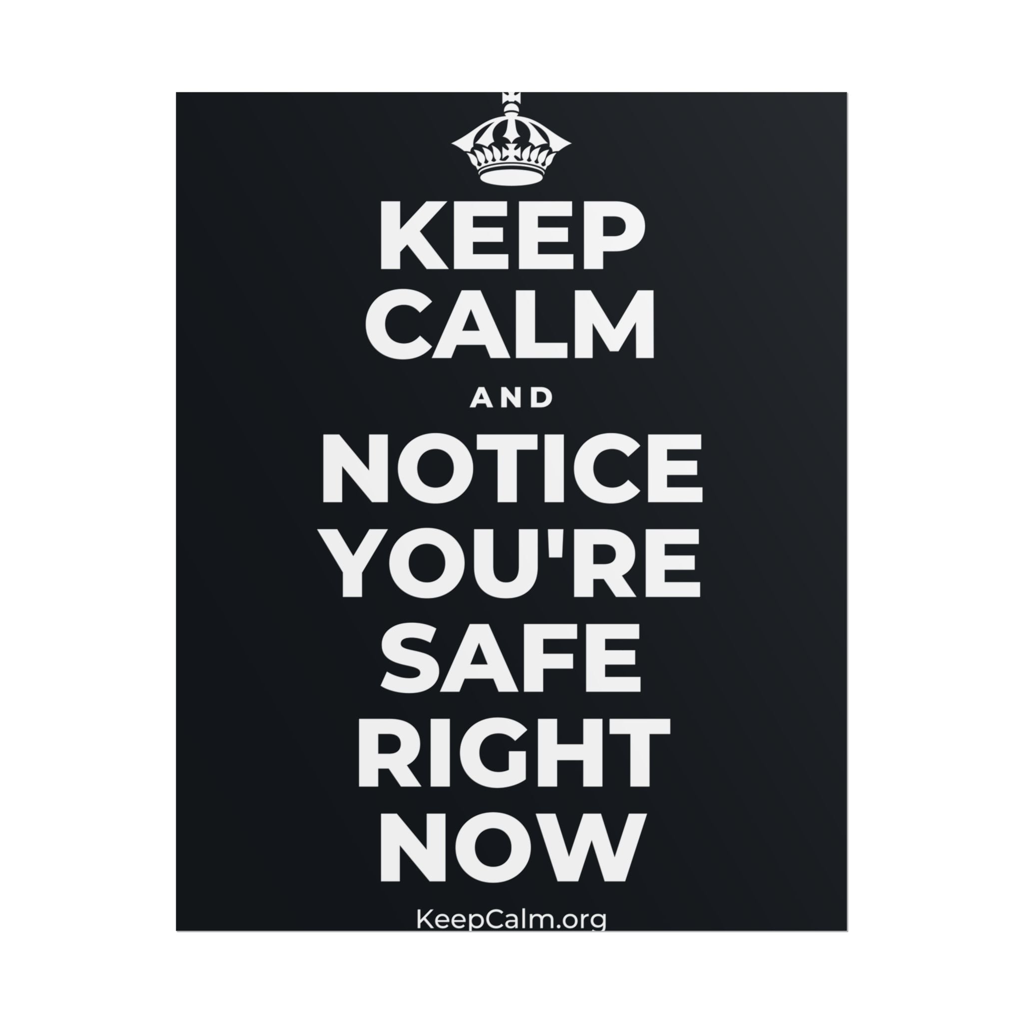 KEEP CALM AND NOTICE YOU'RE SAFE RIGHT NOW Poster (Dark)