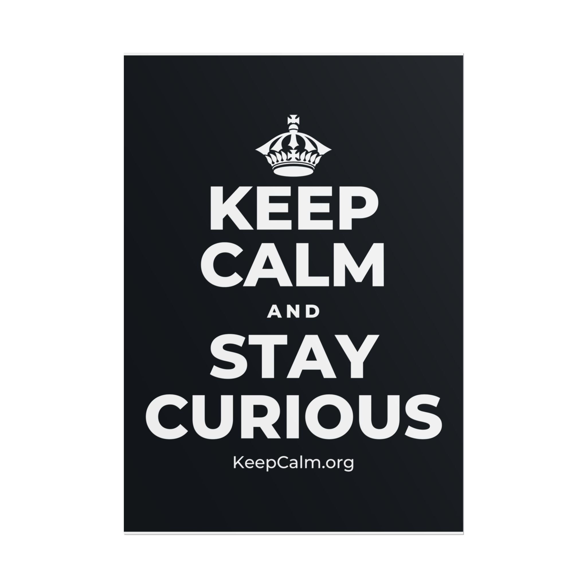 KEEP CALM AND STAY CURIOUS Poster (Dark)