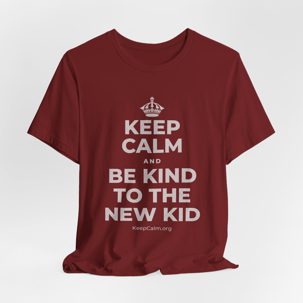 KEEP CALM AND BE KIND TO THE NEW KID T-Shirt (Baby Blue–Silver)
