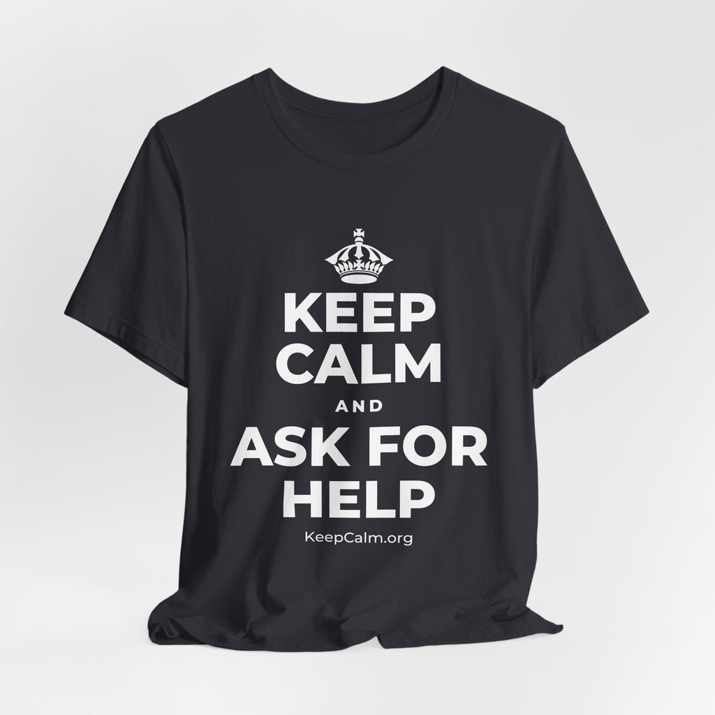 KEEP CALM AND ASK FOR HELP T-Shirt (Baby Blue–Silver)