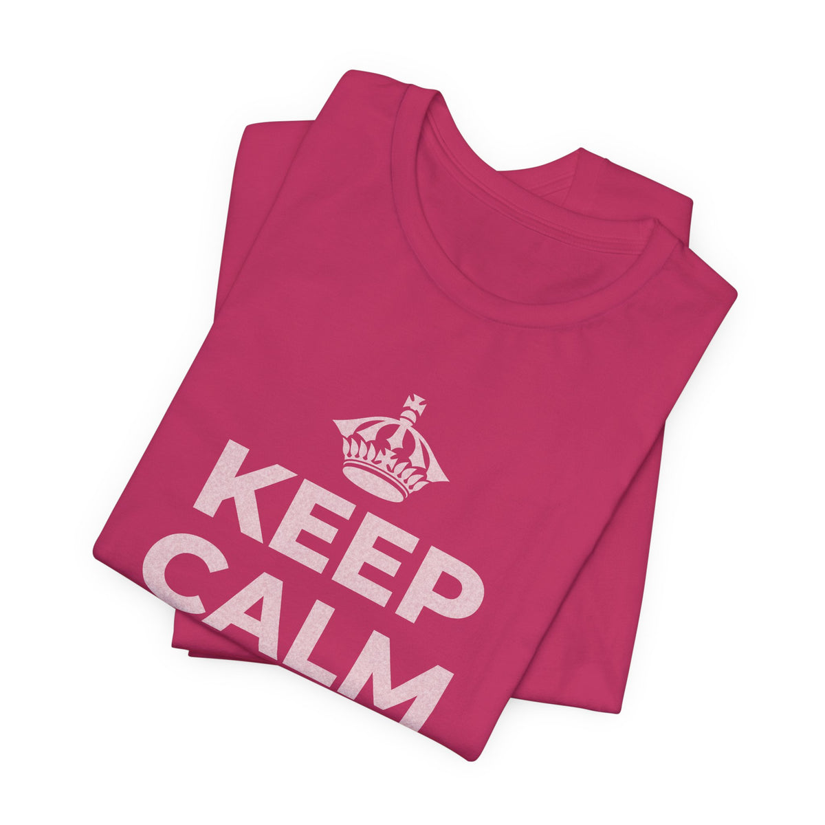 KEEP CALM AND OWN IT T-Shirt (Baby Blue–Silver)