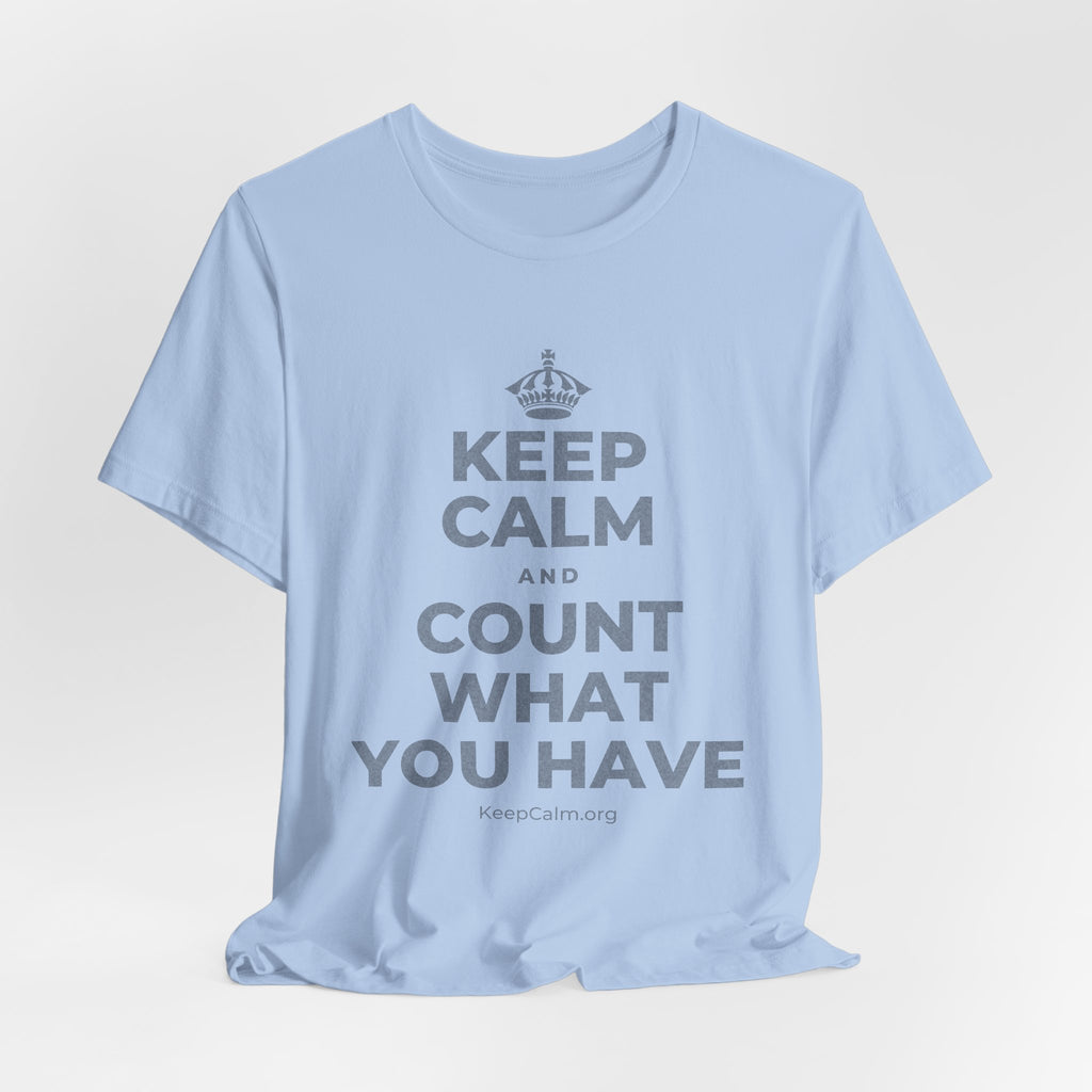 KEEP CALM AND COUNT WHAT YOU HAVE T-Shirt (Baby Blue–Silver)