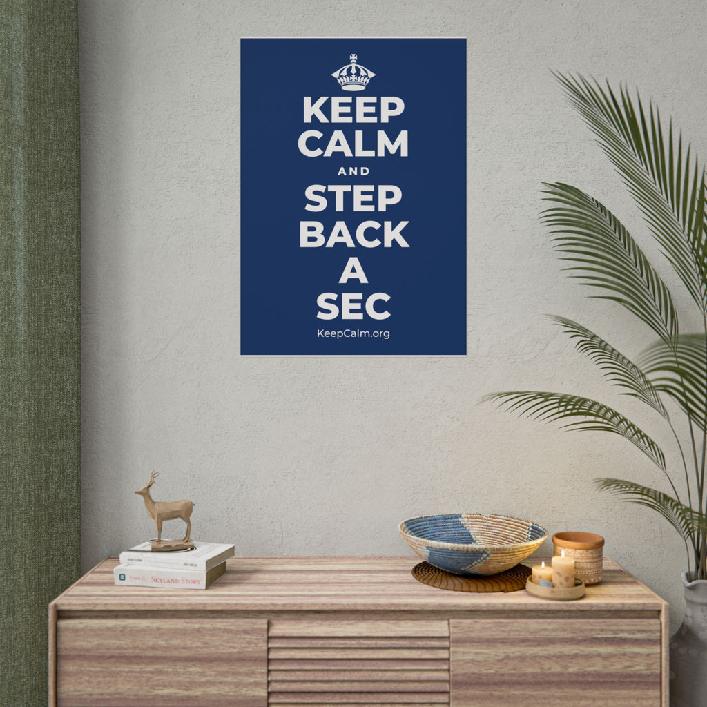 KEEP CALM AND STEP BACK A SEC Poster