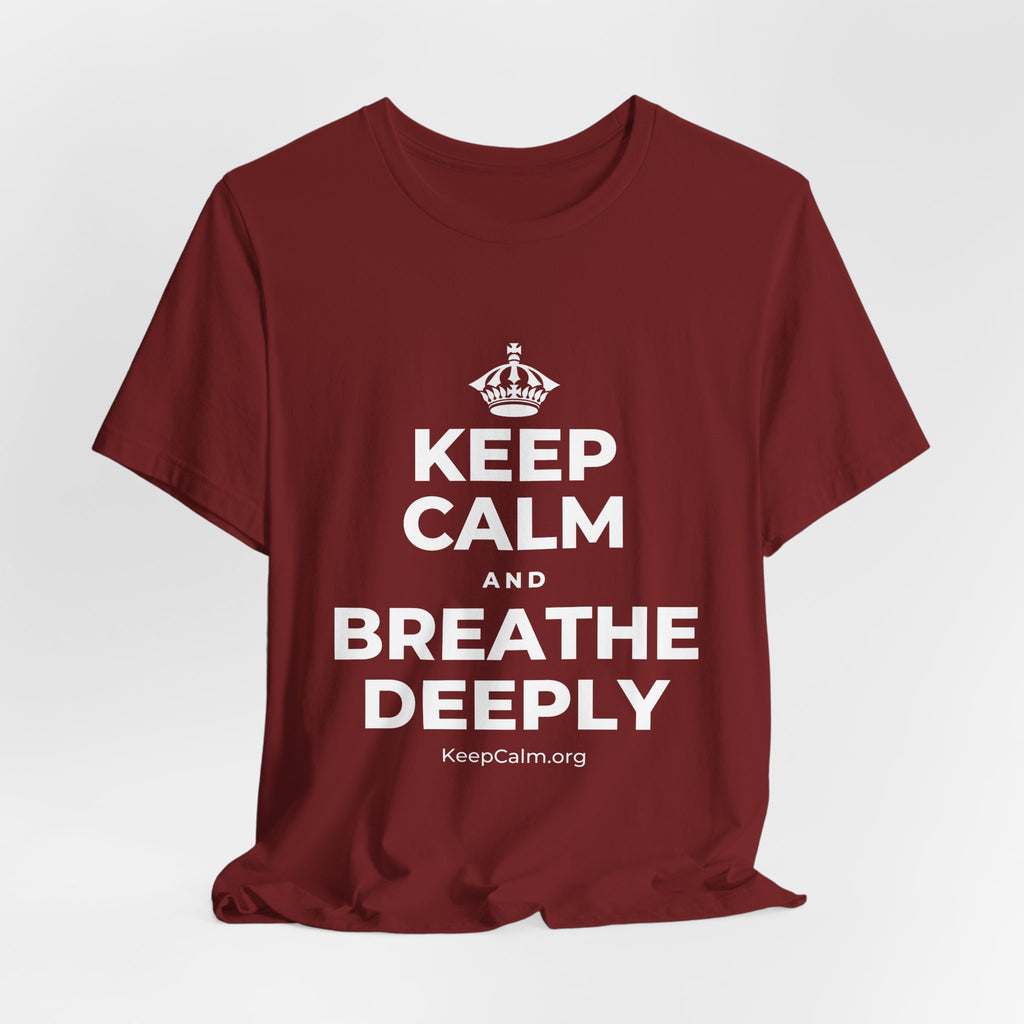 KEEP CALM AND BREATHE DEEPLY T-Shirt (Baby Blue–Silver)