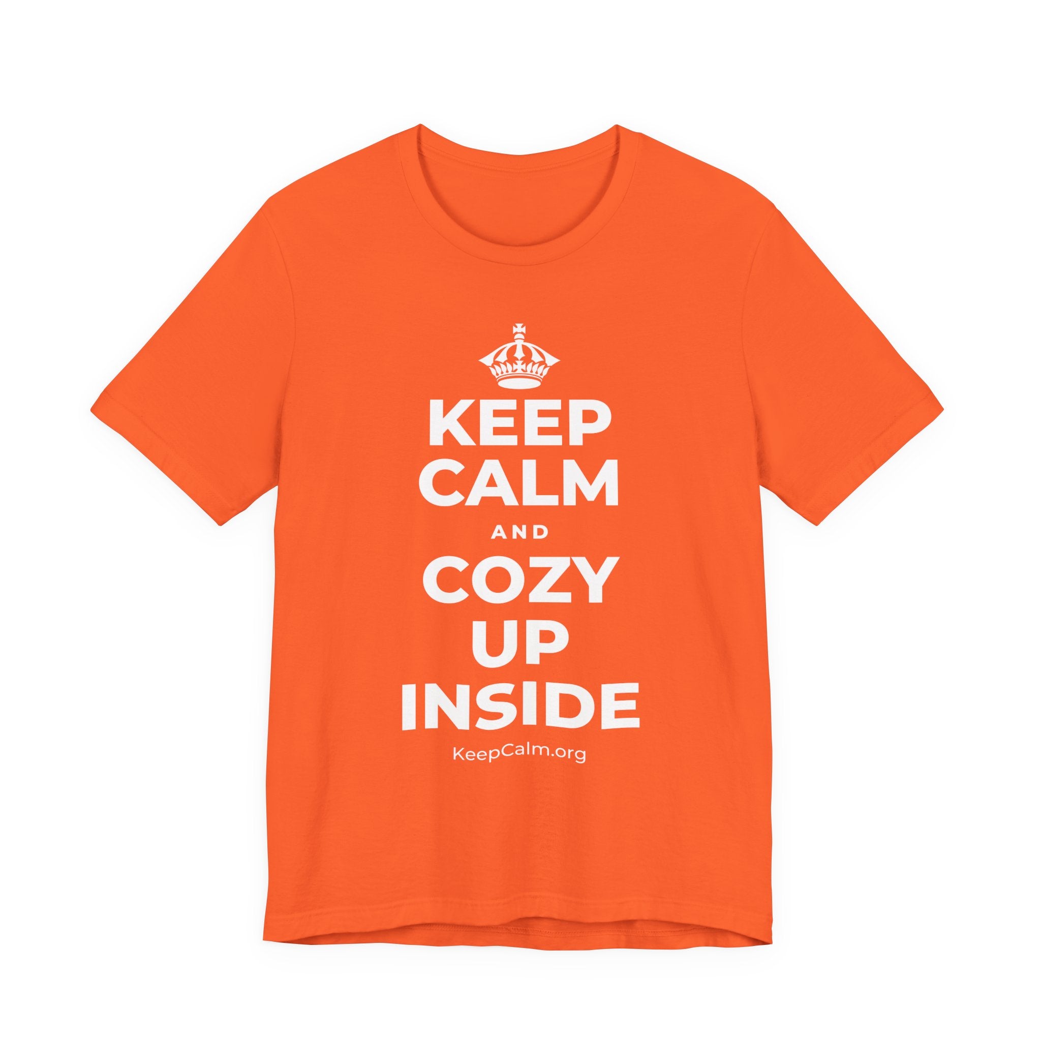 KEEP CALM AND COZY UP INSIDE T-Shirt (Baby Blue–Silver)