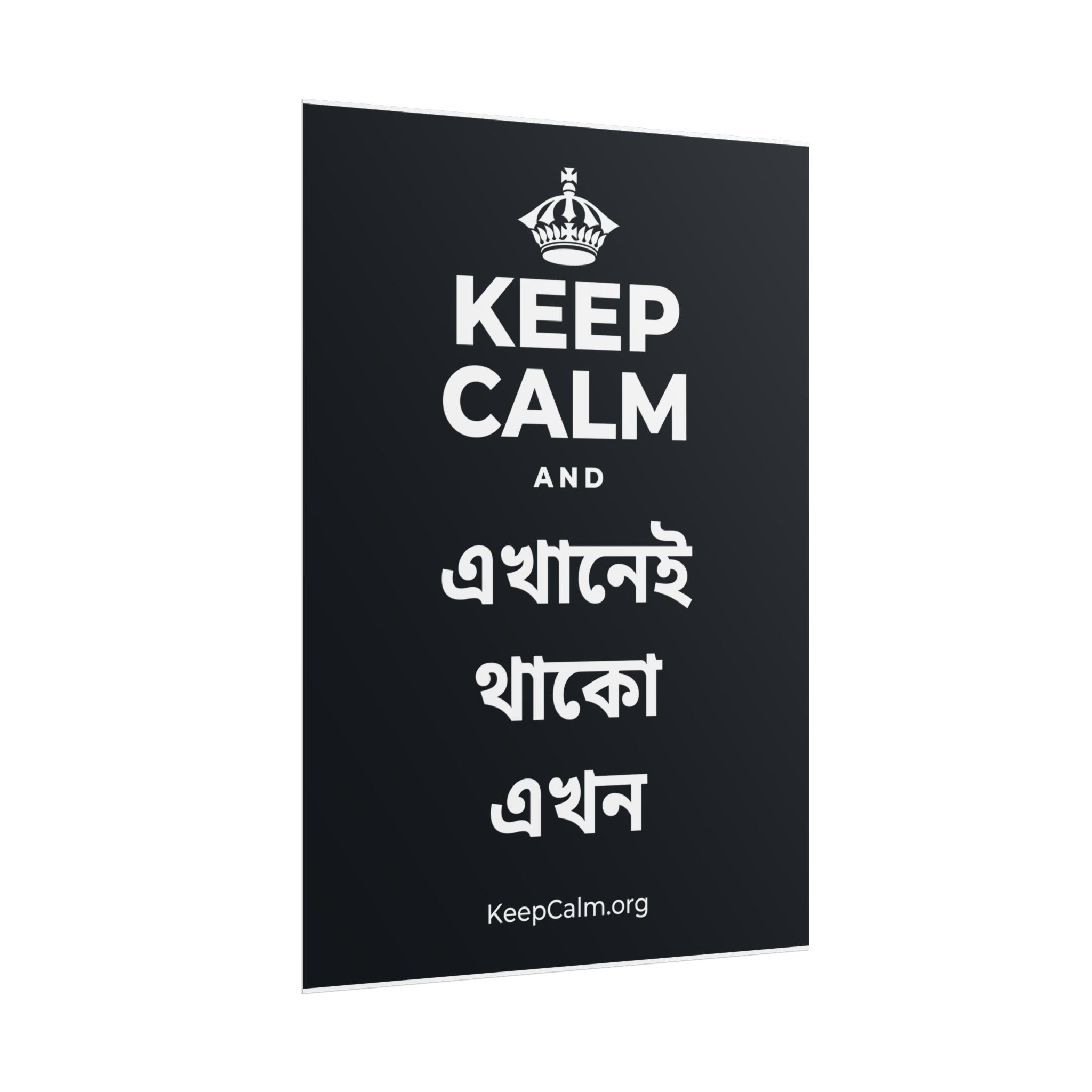 KEEP CALM AND এখানেই থাকো এখন Poster (Dark)