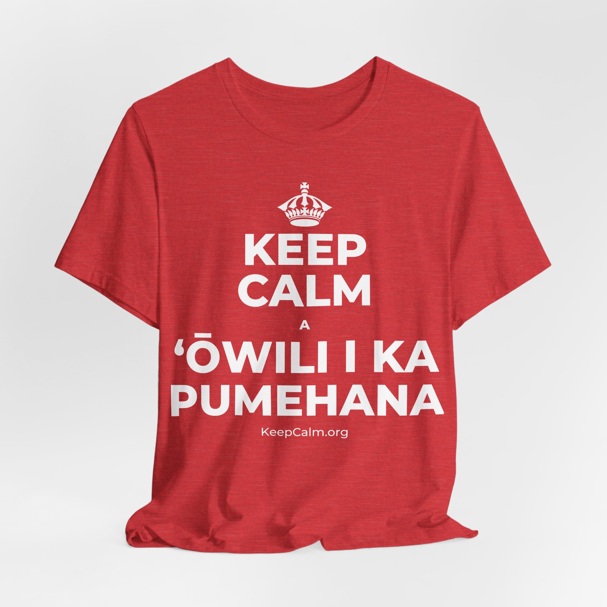 KEEP CALM A ʻŌWILI I KA PUMEHANA T-Shirt (Baby Blue–Silver)