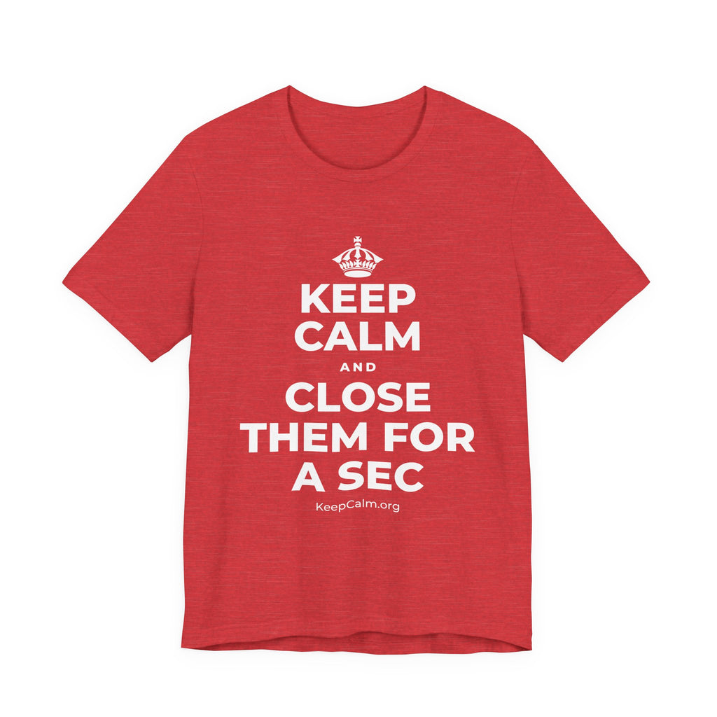 KEEP CALM AND CLOSE THEM FOR A SEC T-Shirt (Baby Blue–Silver)