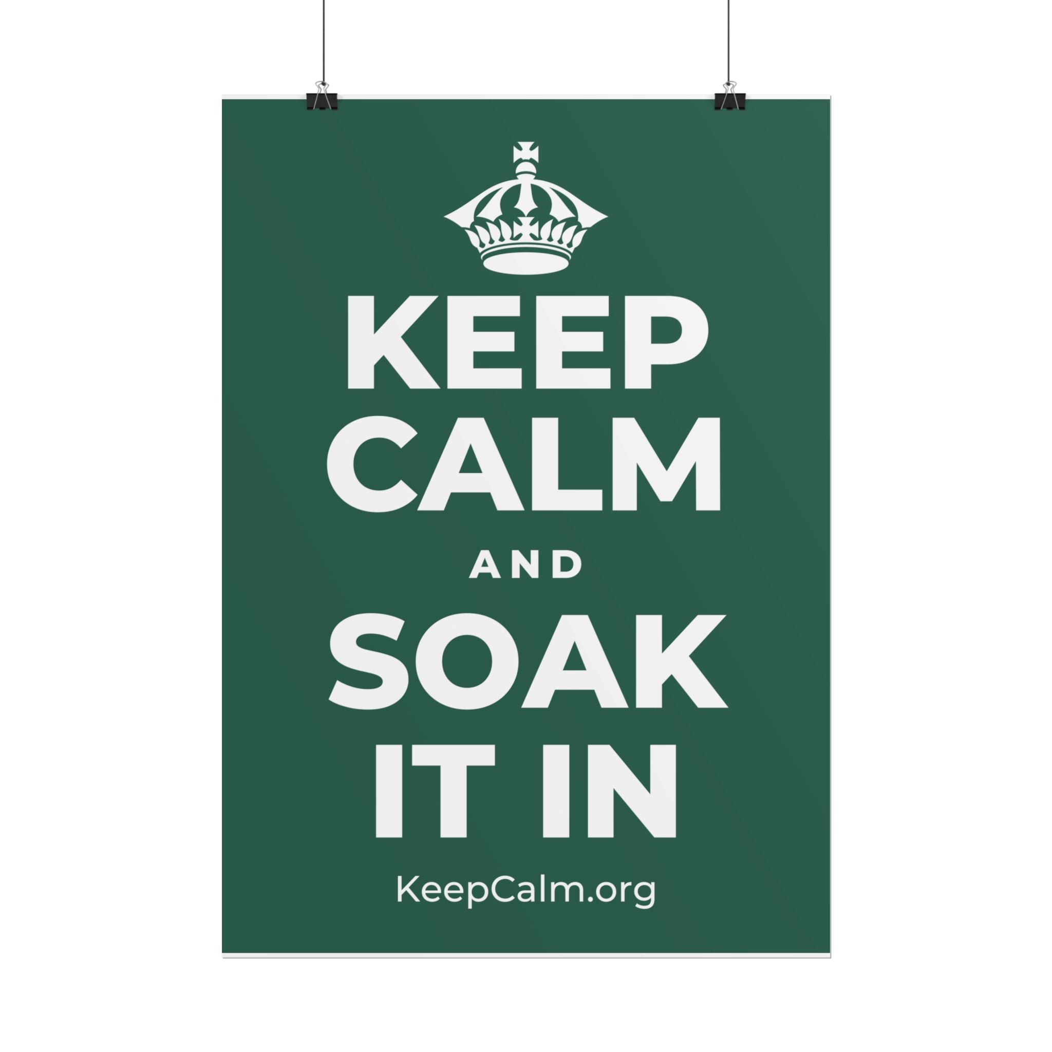 KEEP CALM AND SOAK IT IN Poster