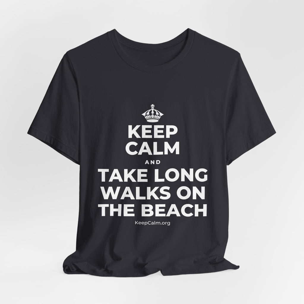 KEEP CALM AND TAKE LONG WALKS ON THE BEACH T-Shirt (Baby Blue–Silver)