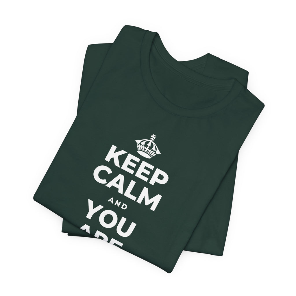 KEEP CALM AND YOU ARE DOING GREAT TODAY T-Shirt (White–Asphalt)