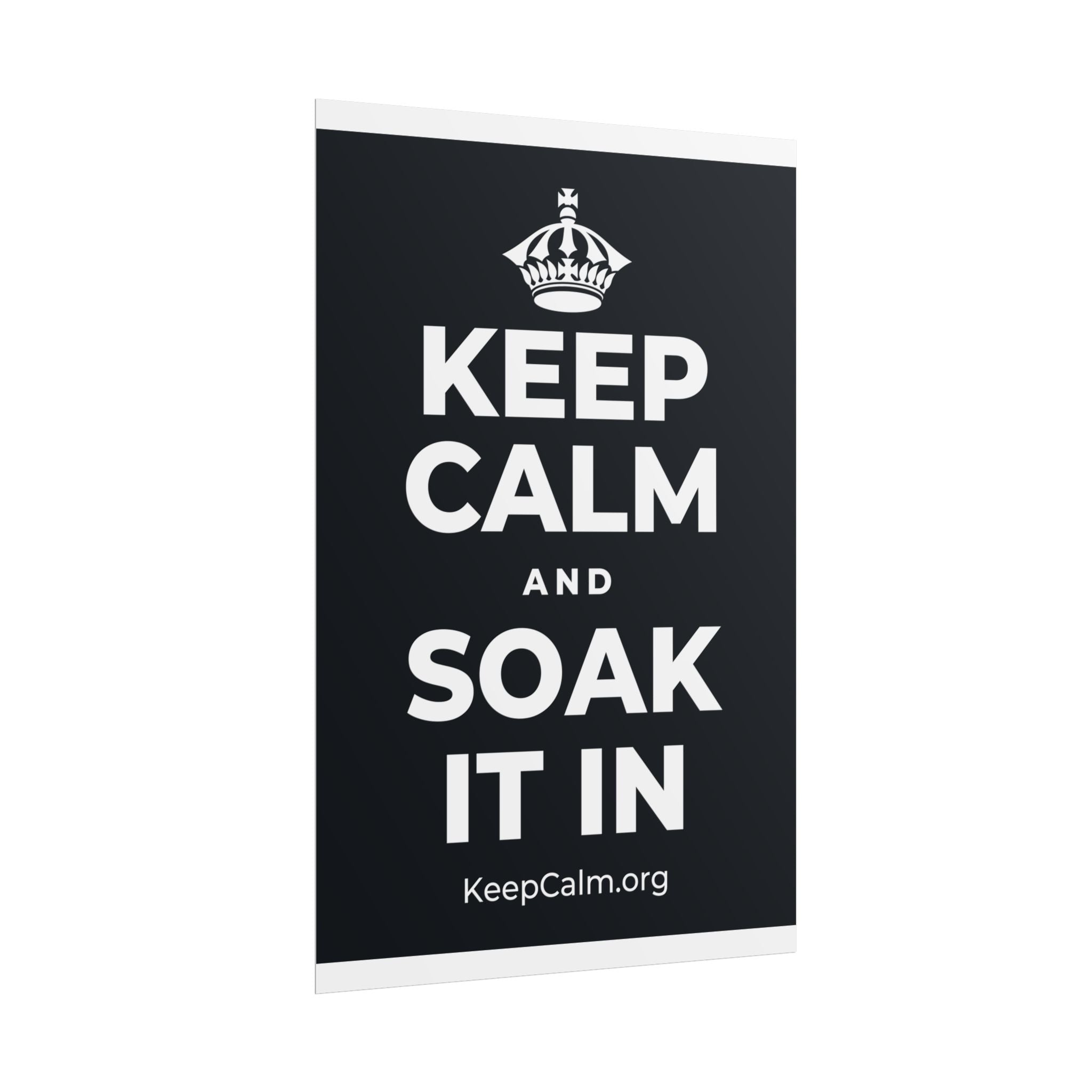 KEEP CALM AND SOAK IT IN Poster (Dark)