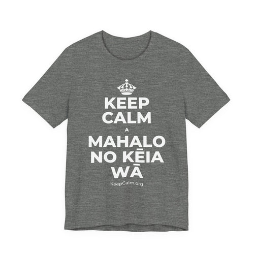 KEEP CALM A MAHALO NO KĒIA WĀ T-Shirt (Baby Blue–Silver)