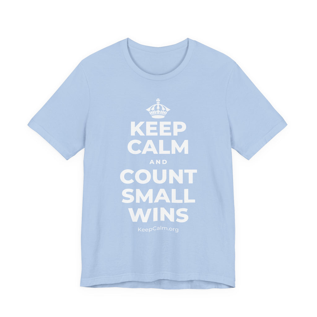 KEEP CALM AND COUNT SMALL WINS T-Shirt (Baby Blue–Silver)