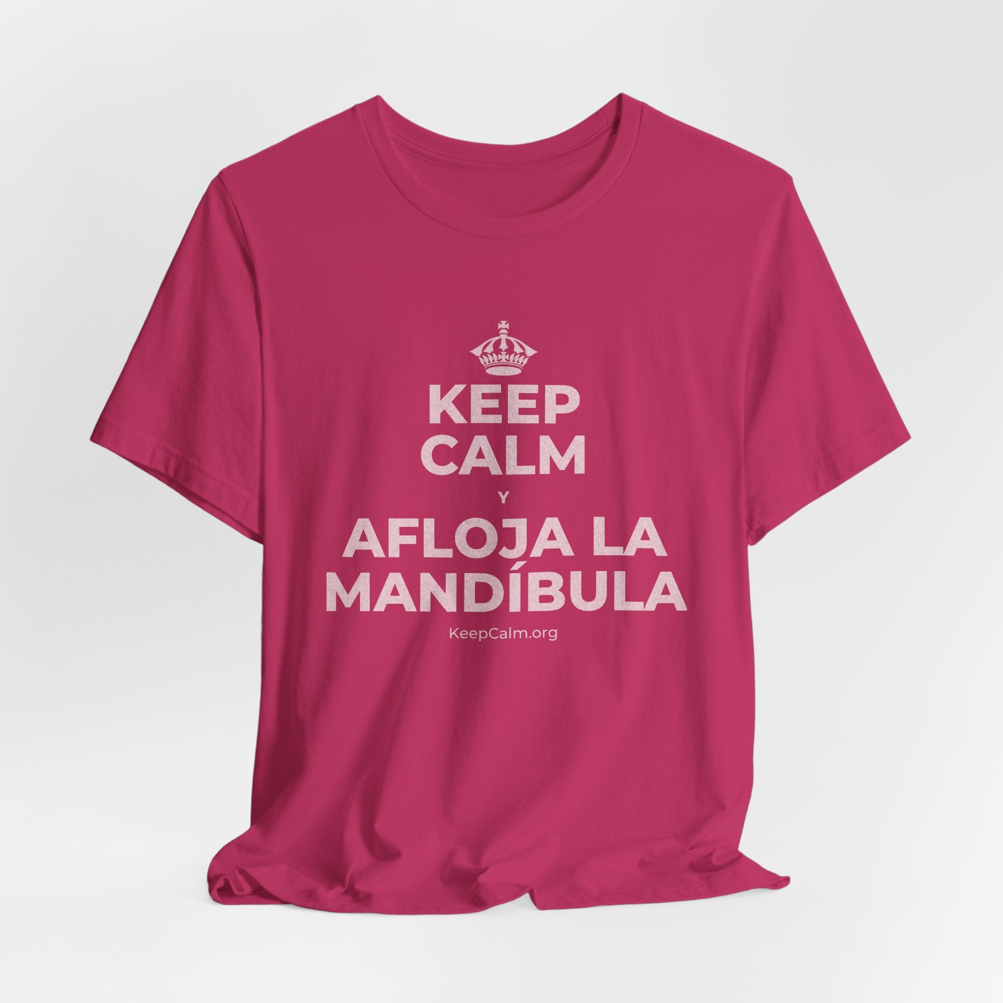 KEEP CALM Y AFLOJA LA MANDÍBULA T-Shirt (Baby Blue–Silver)