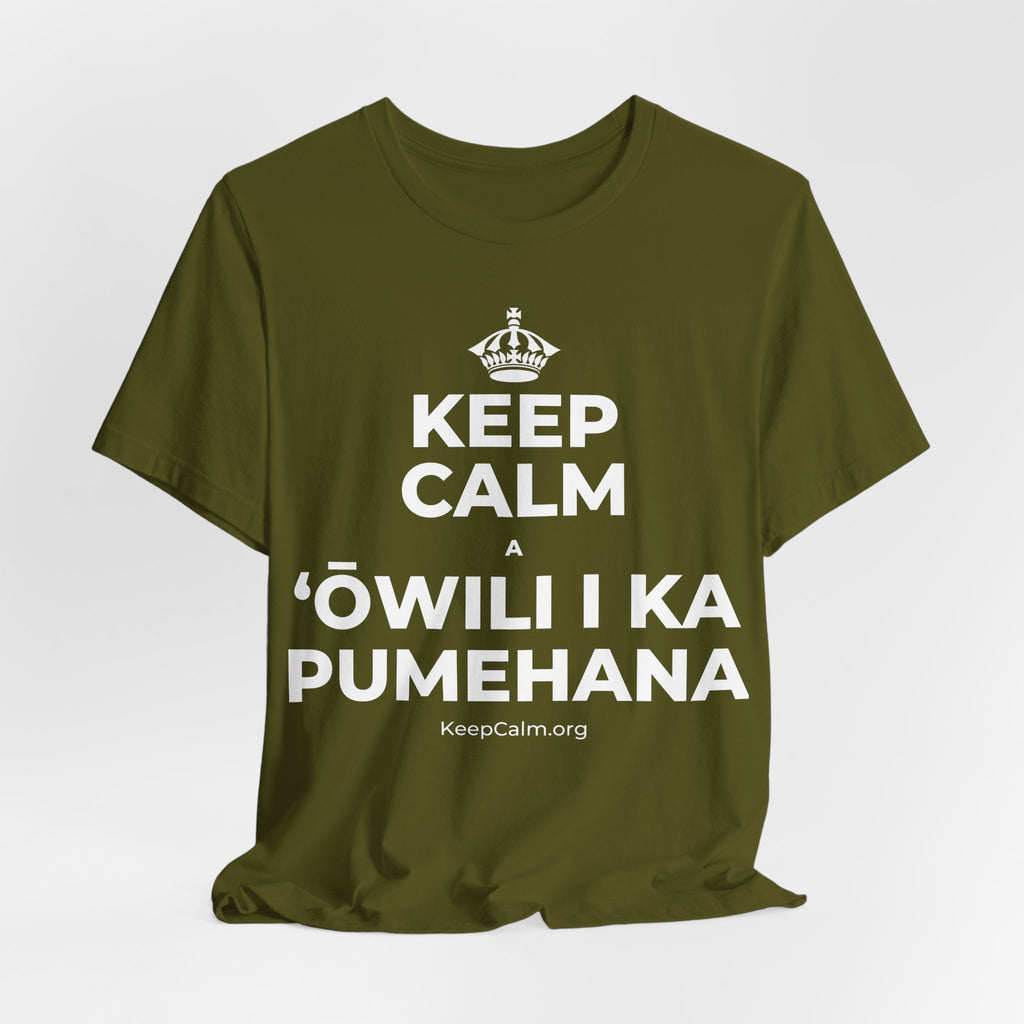 KEEP CALM A ʻŌWILI I KA PUMEHANA T-Shirt (Baby Blue–Silver)