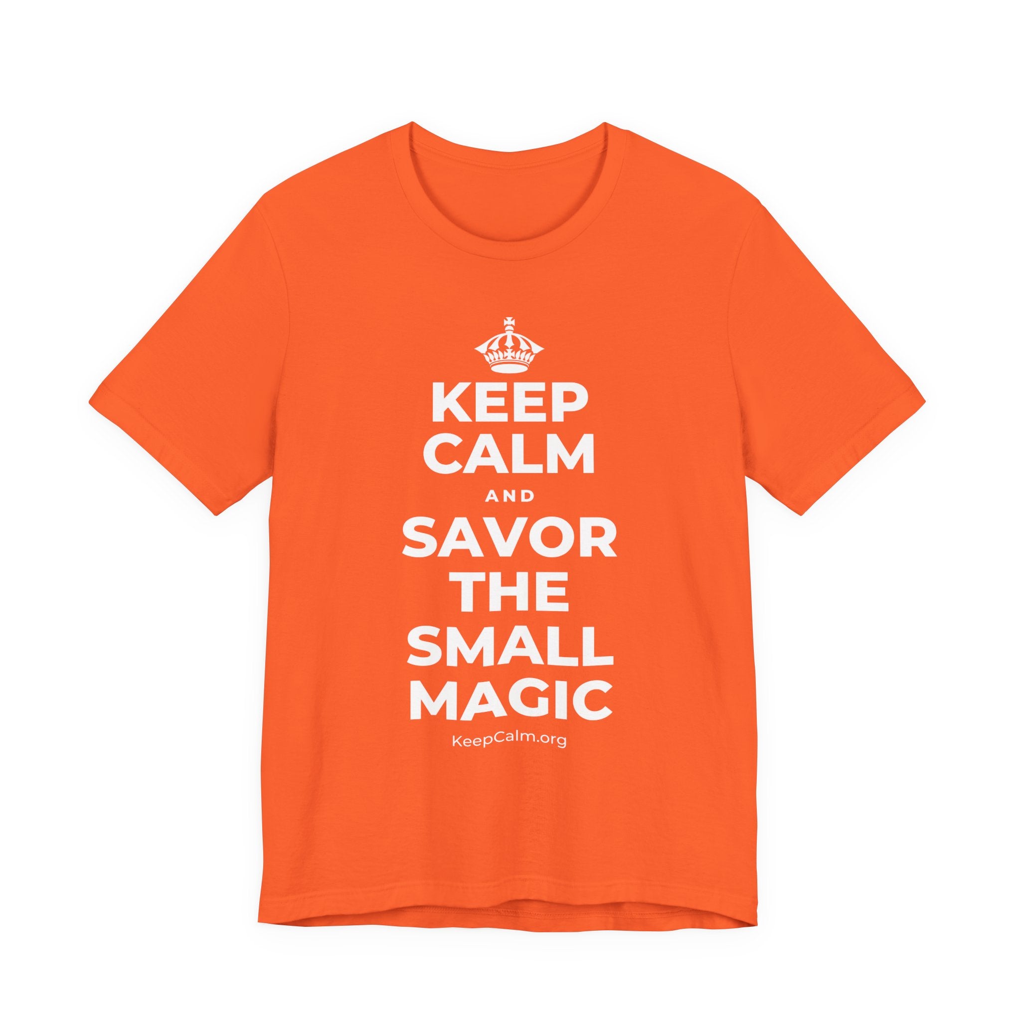 KEEP CALM AND SAVOR THE SMALL MAGIC T-Shirt (Baby Blue–Silver)